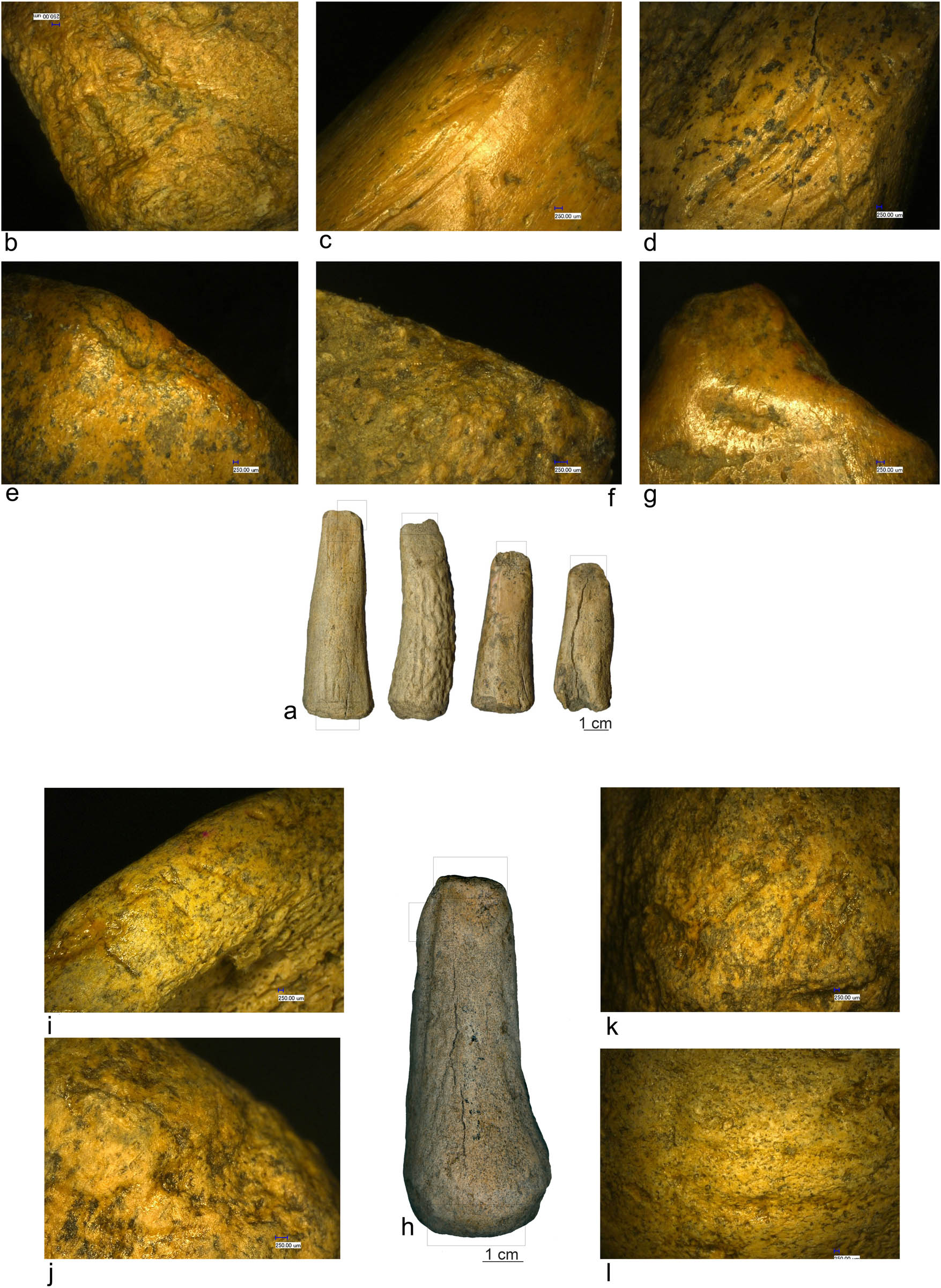 Figure 3
(a and h) Antler bevelled tools (Ostrovul Corbului); (b) segmentation by percussion; (c) and (d) scraping marks; (e–g and j) bevelled end details; (i) percussion marks; and (k and l) transverse cuts at proximal end.