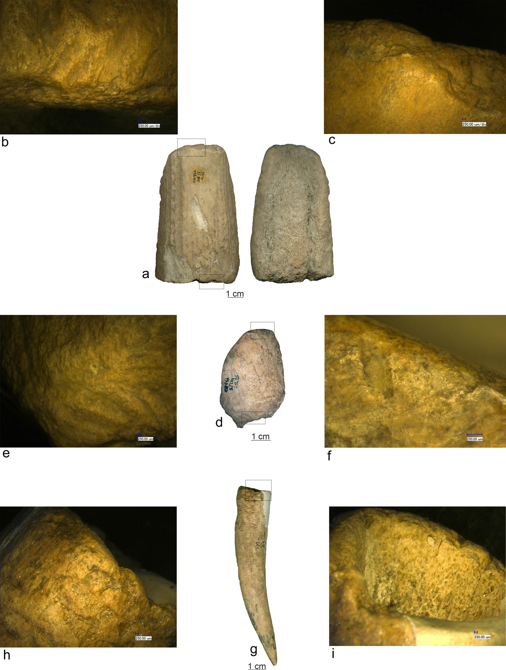 Figure 5
(a and d) Antler bevelled tools (Ostrovul Banului); (b and e) proximal end details; (c and f) distal end details; (g) antler handle (Icoana); (h) segmentation by percussion; and (i) longitudinal hafting slot.