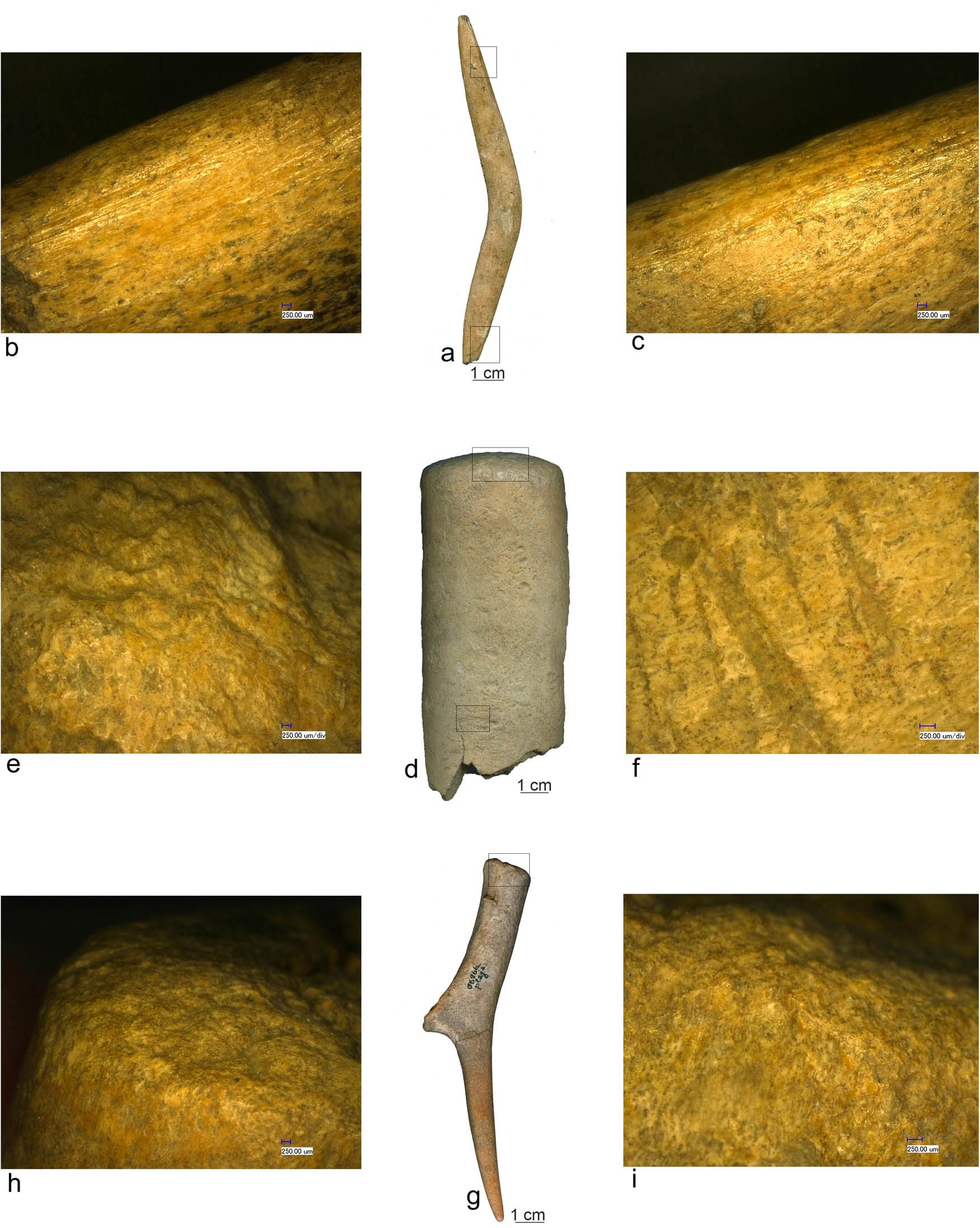 Figure 6
(a) Antler pointed tool (Icoana); (b and c) scraping marks; (d and g) antler hammers (Ostrovul Banului); and (e, f, h, and i) marks of use.