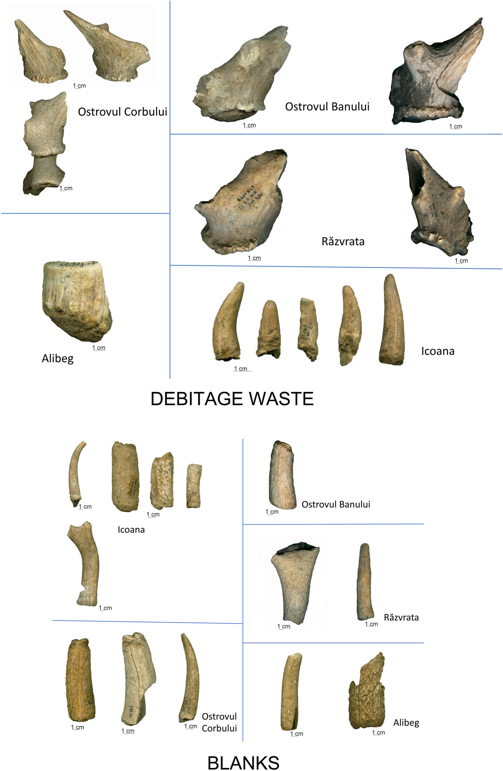 Figure 7
Antler debitage waste from the Iron Gates sites (top); and antler blanks from the Iron Gates sites (down).