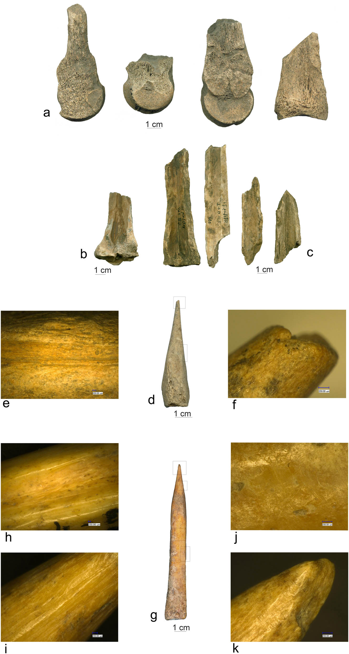 Figure 8
(a and b) Bone debitage waste (a – Ostrovul Corbului and b – Alibeg); (c) bone blanks (Alibeg); (d and g) bone pointed tools (Ostrovul Banului); (e and h) grooving marks; (f and k) active end details; (i) scraping marks; and (j) use-wear area.