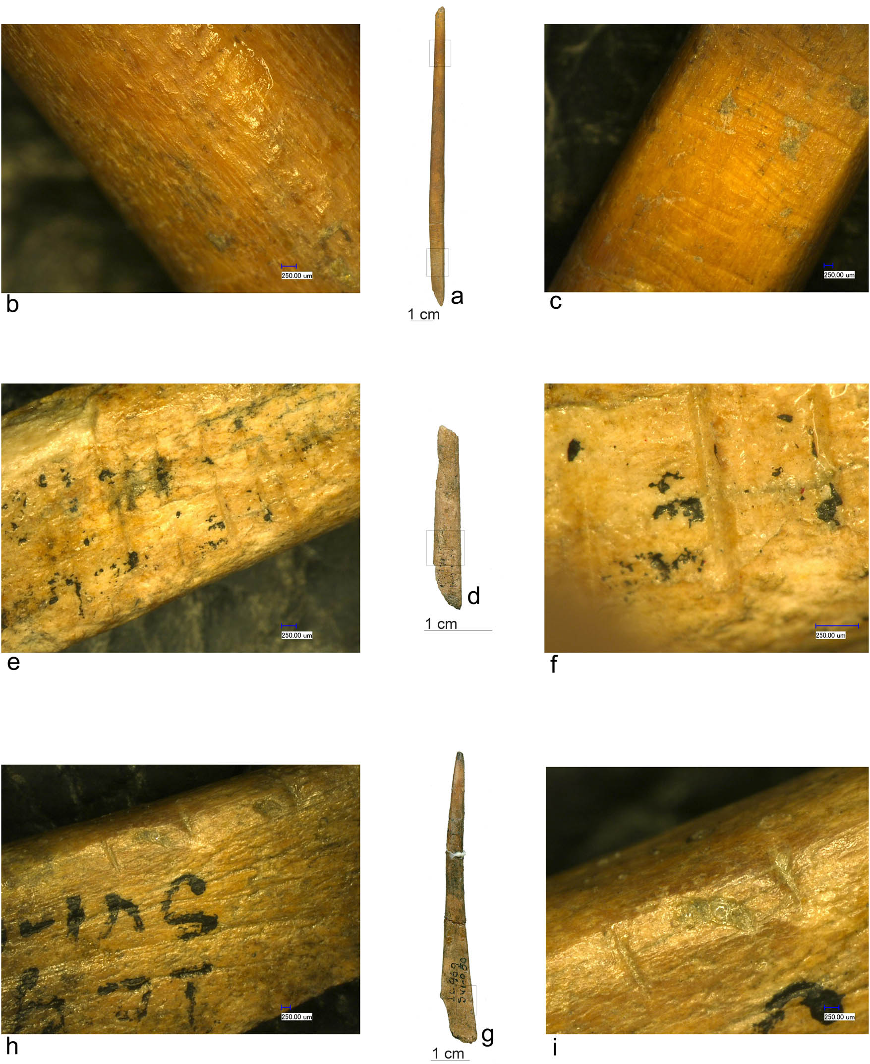 Figure 9
(a, d, and g) Bone pointed tools (Icoana); (b and h) scraping marks; and (c, e, f), and (i) transverse incisions.
