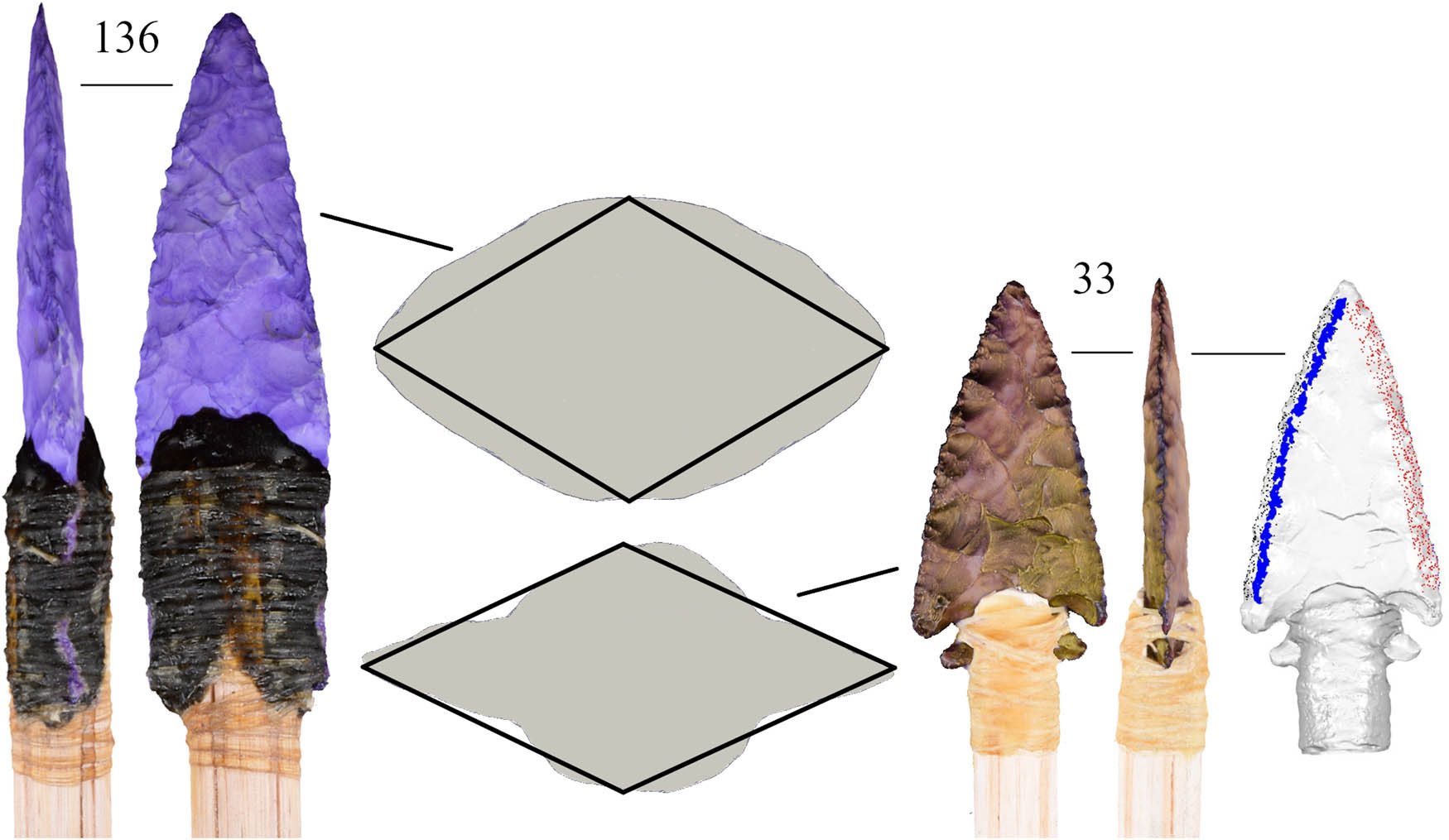 Figure 3
Showing the comparison between hafted TCSA/P derived from photogrammetry (TCSA/PhPV) and from rhomboid equations (TCSA/Ph) alongside screen captures of two 3D armature models. For armature 33, a model trimmed below the haft for measuring SA and the locations of edge angle measurements is also shown.