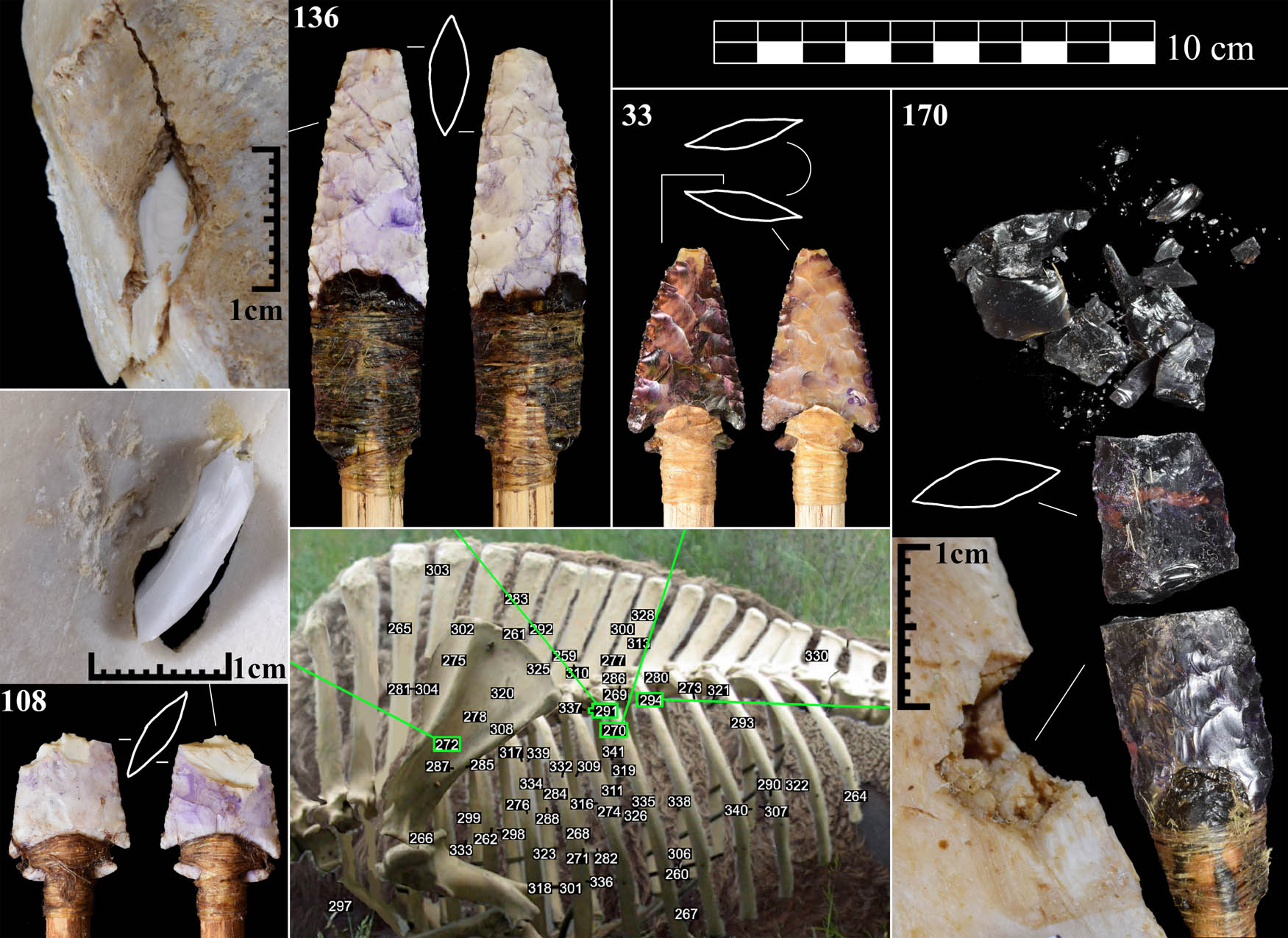 Figure 5
Showcasing four dart-bone impacts mapped onto a screen capture of Bison1 from the flight camera. Armature 33’s history is given in text and Figure 6 (shot 270); armature 108 impacted with 28.5 J and penetrated 6.5 cm, stopping at the scapula (shot 272); armature 136 impacted with 64 J, decelerated at −1,135 m/s2 entering the skin, and struck a vertebra with 41 J after penetrating 15 cm (shot 291); armature 170 impacted the 10th rib with 67 J and failed to penetrate (shot 294).