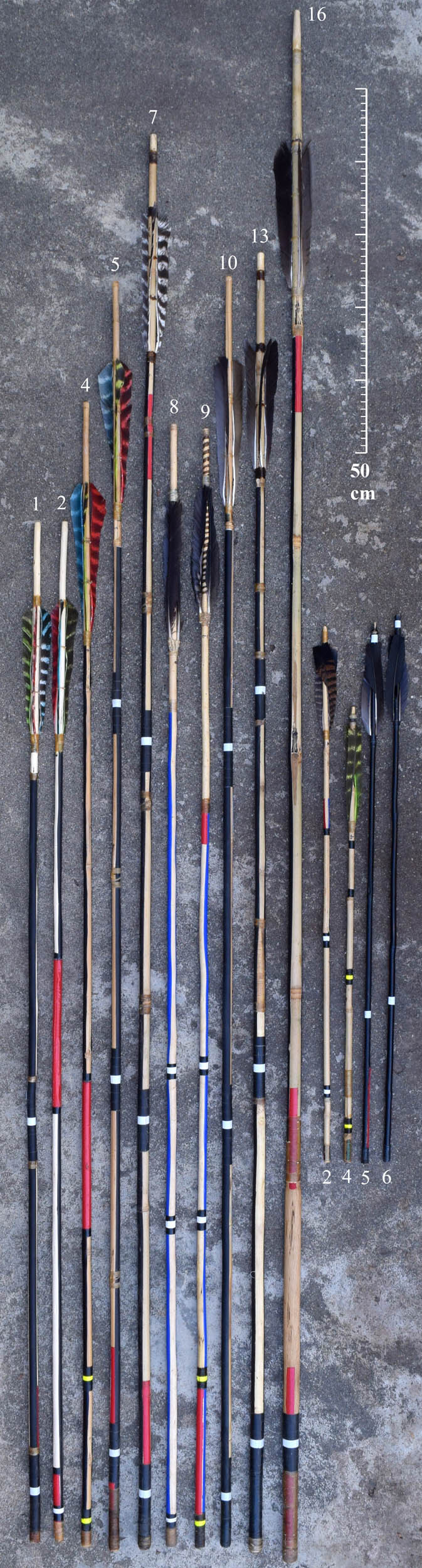 Figure A3
Dart and arrow main shafts used in the experiments. Reapplying new markings of gaffer’s tape on main shafts for the Bison2 experiment resulted in subtle differences in mass (e.g., between D7 and D7.1).