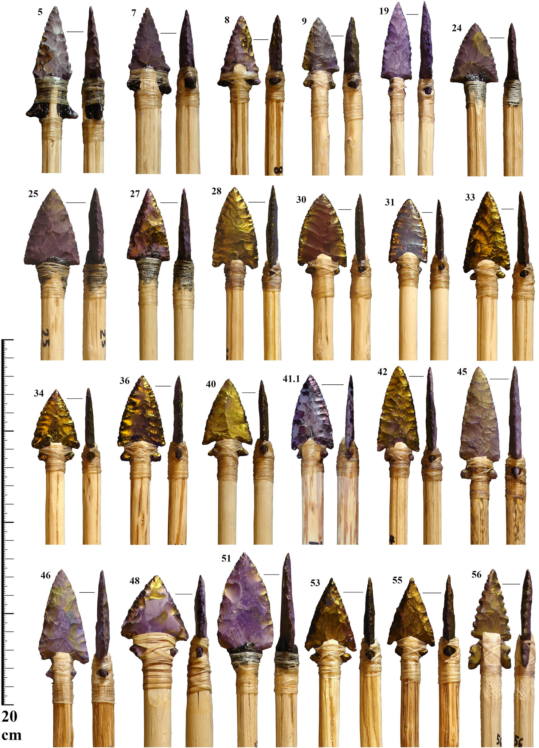 Figure A4
Dart points included in the analysis.