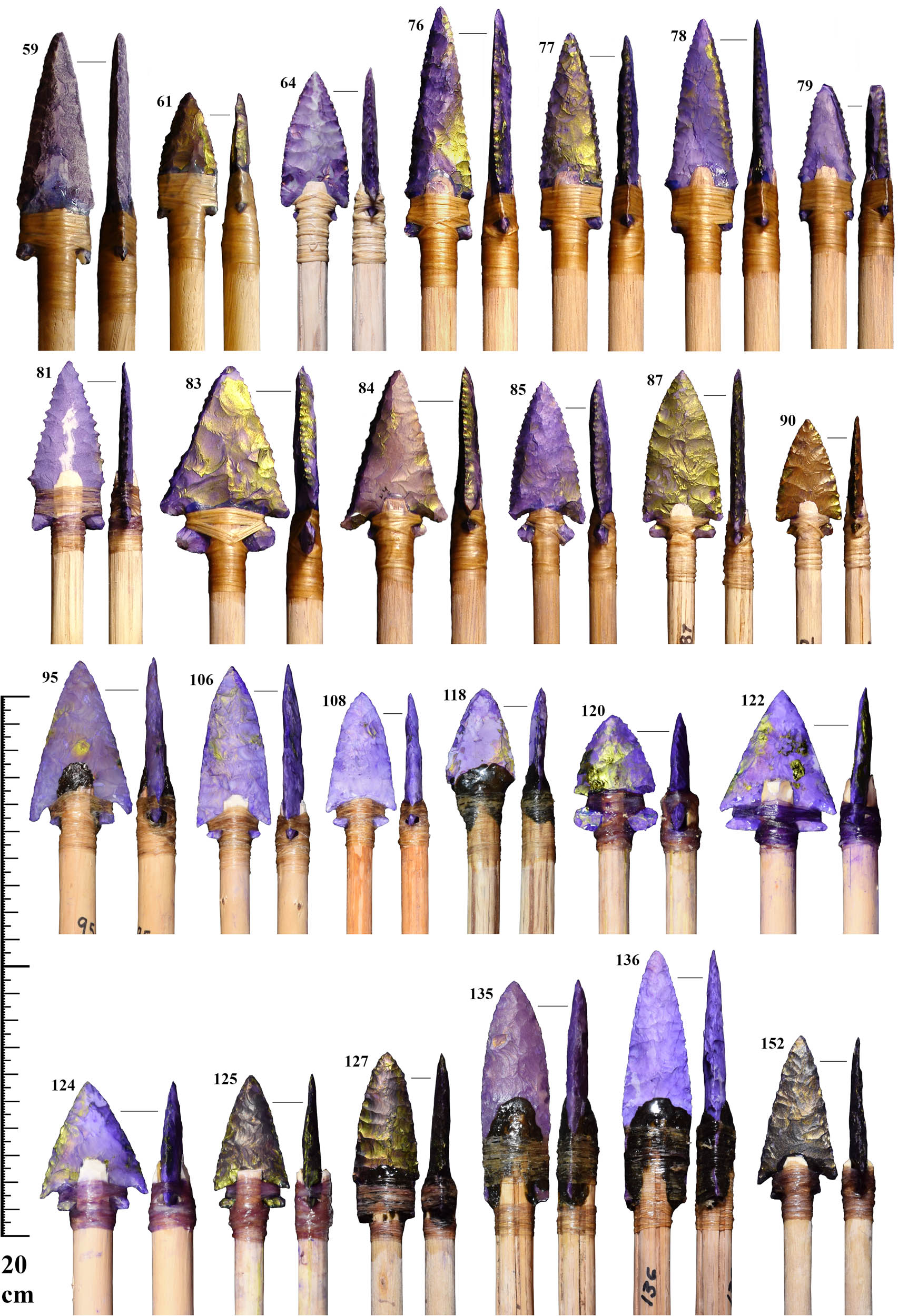 Figure A5
Dart points included in the analysis.