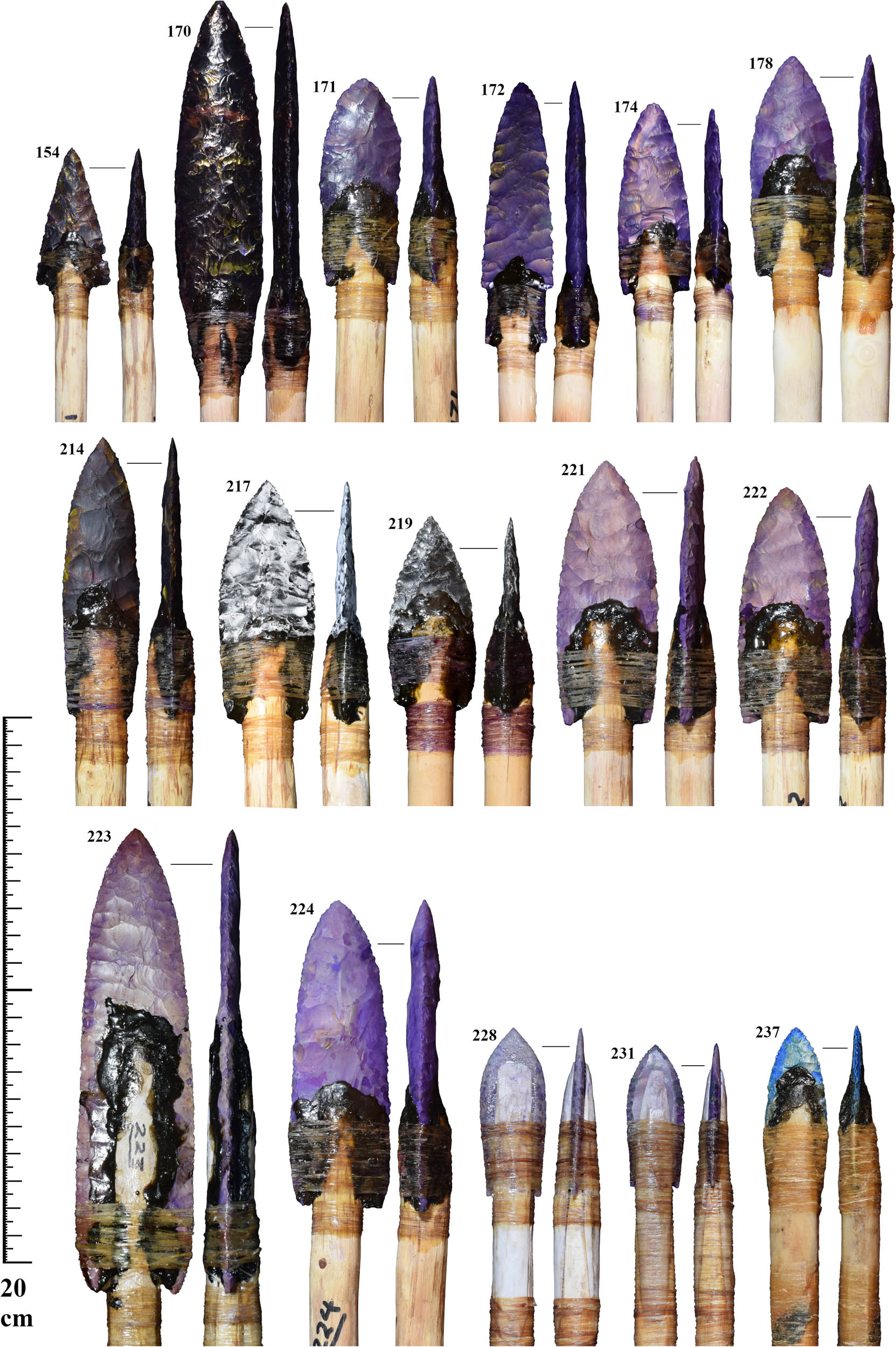 Figure A6
Dart points included in the analysis.