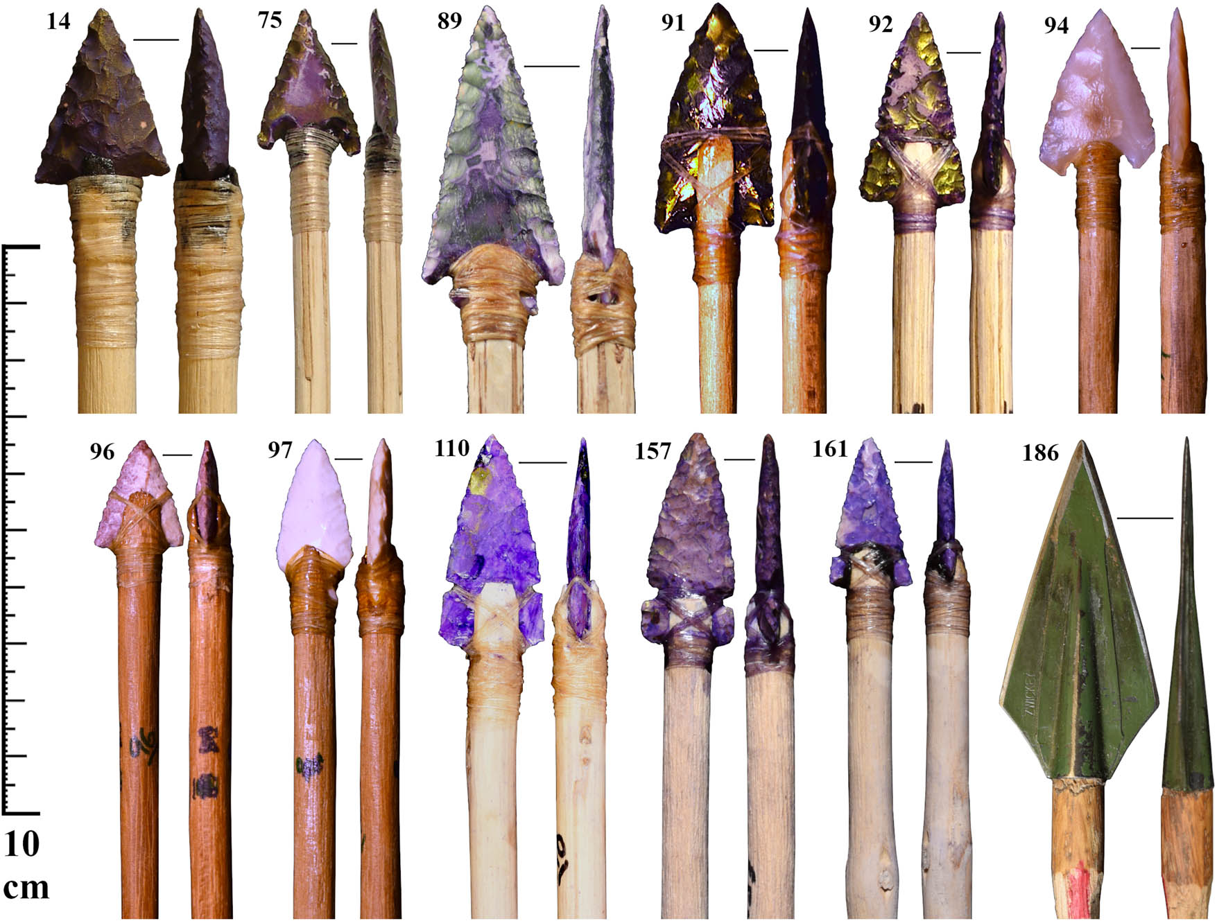 Figure A8
Arrow points included in the analysis.
