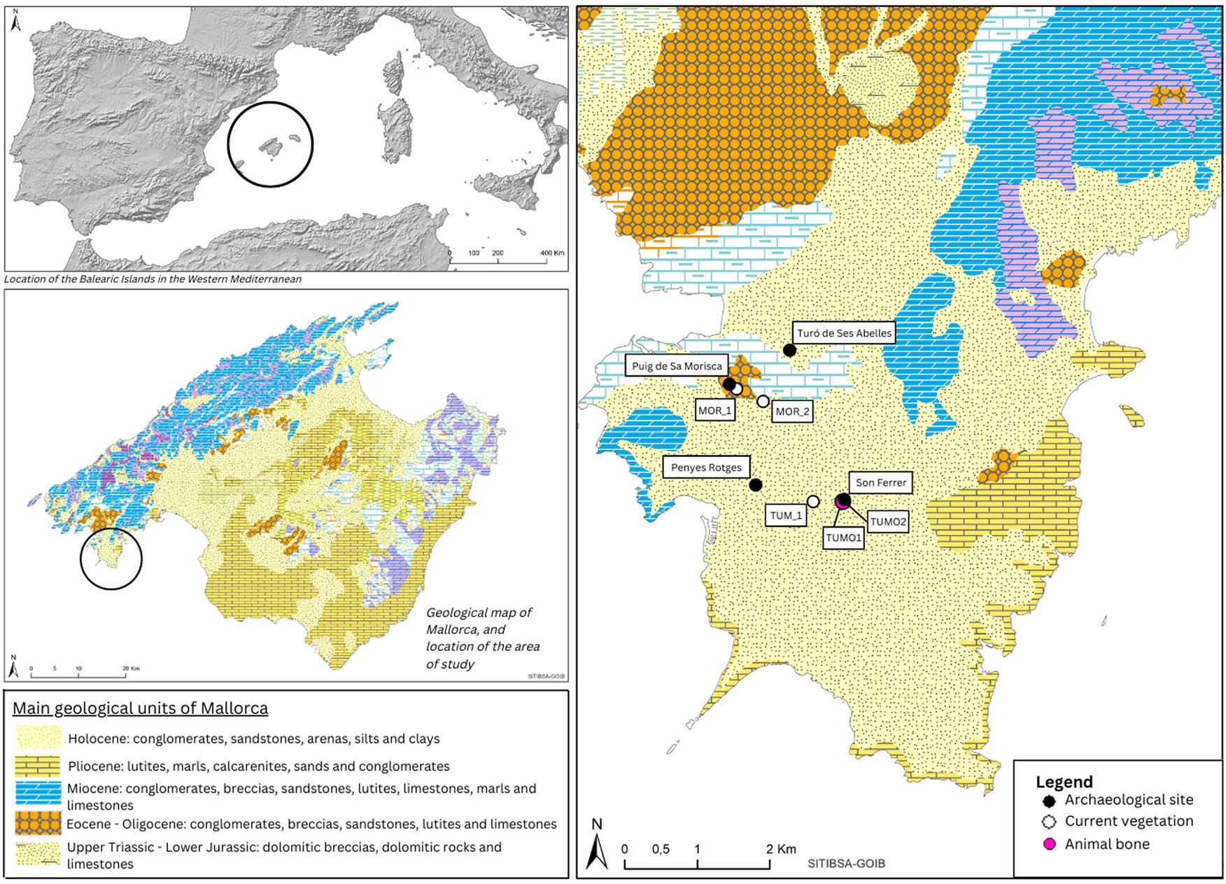 Figure 1 
               Main geological units of Mallorca island with sites cited in the text and location of sampling sites indicated by white and pink circles (created by Alejandra Galmés).
            
