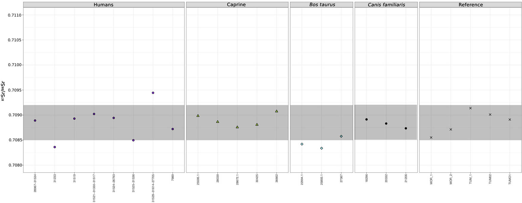 Figure 3 
               Strontium isotopic ratios from archaeological samples from Son Ferrer. In this figure, just one sample per individual is shown. Based on the analysed samples from this study, the expected baseline from Son Ferrer is c. 0.7089–0.7091 86Sr/87Sr, and the nearby Iron Age village of Morisca is 0.7085–0.7087 86Sr/87Sr. Given the vicinity of both sites (2.5 km), both bedrocks are considered as the local range, shaded in grey (0.7085–0.7091 86Sr/87Sr).
            