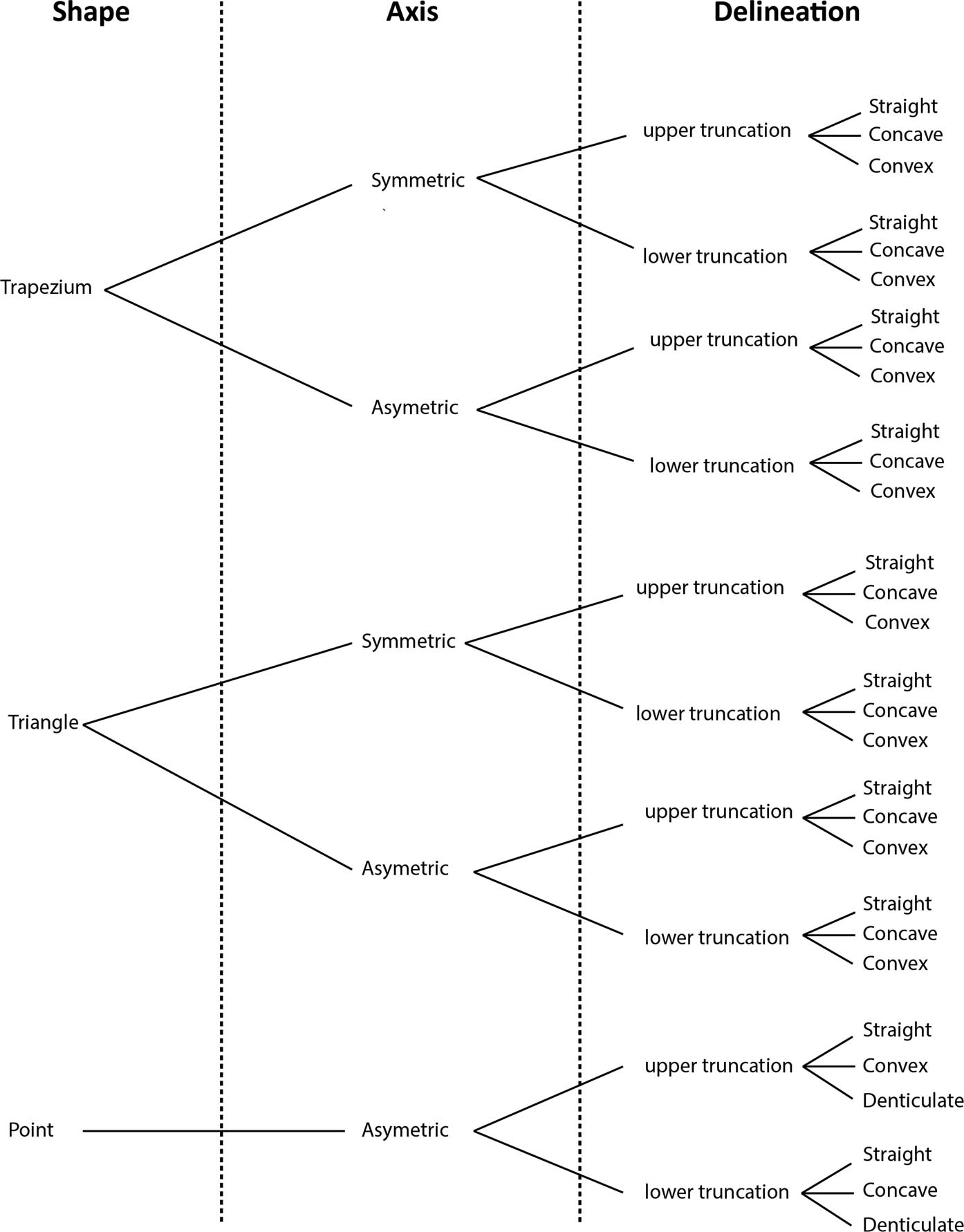 Figure 2
Hierarchisation of the visible characteristics view on microliths, with the different possibilities observed (CAD: L. Hauguel-Bleuven).