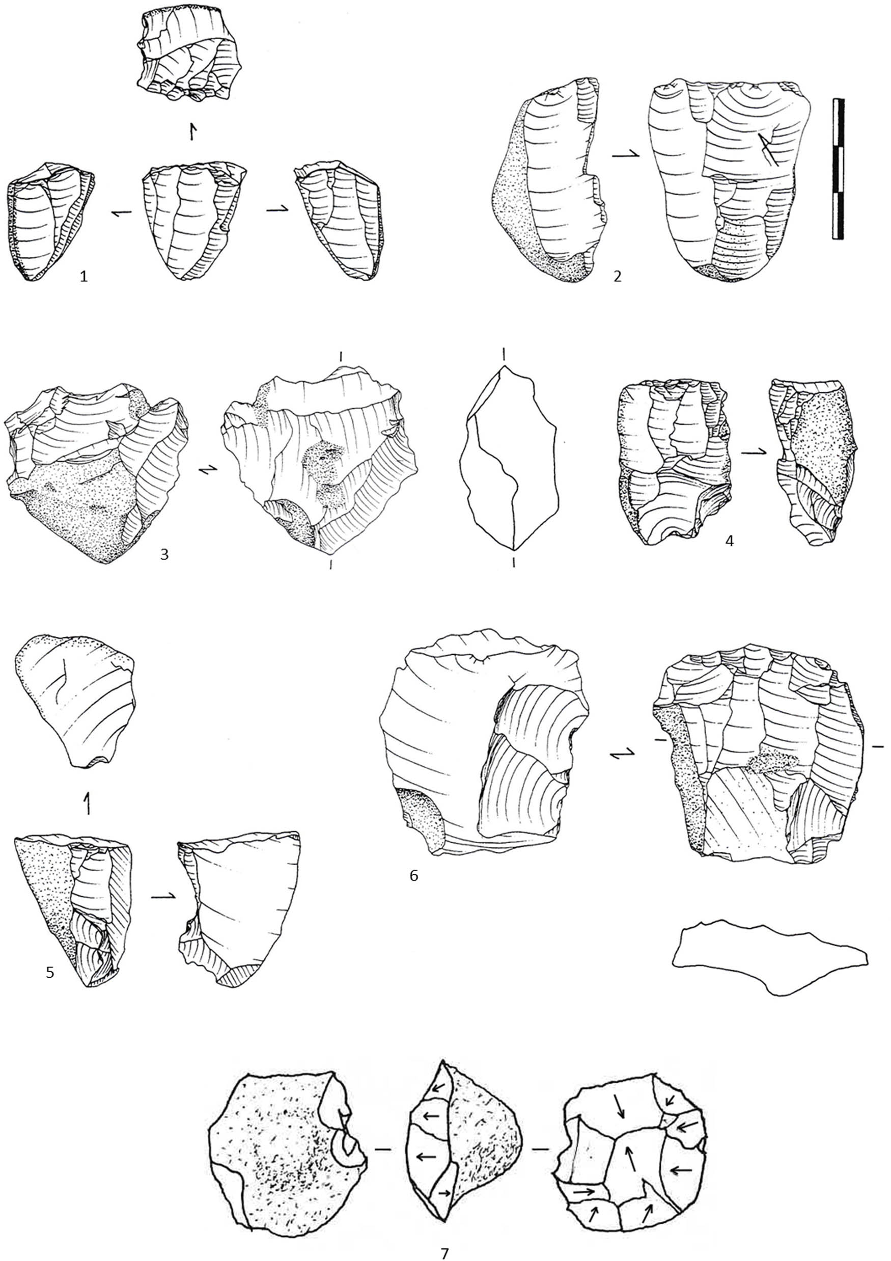 Figure 6
Core plate. Morphology: (1 and 2) unipolar core; (3) multipolar core; (4) bipolar core; (5 and 6) core on flake; (7) discoid core; Source: 1, 2, and 6, La Gilardière (Marchand, 1999, pp. 392 and 394); 3, 4, and 5, Beg-er-Vil (Marchand, 1999, pp. 419–420); 7, Beg-an-Dorchenn (Rault, 1992, p. 46).