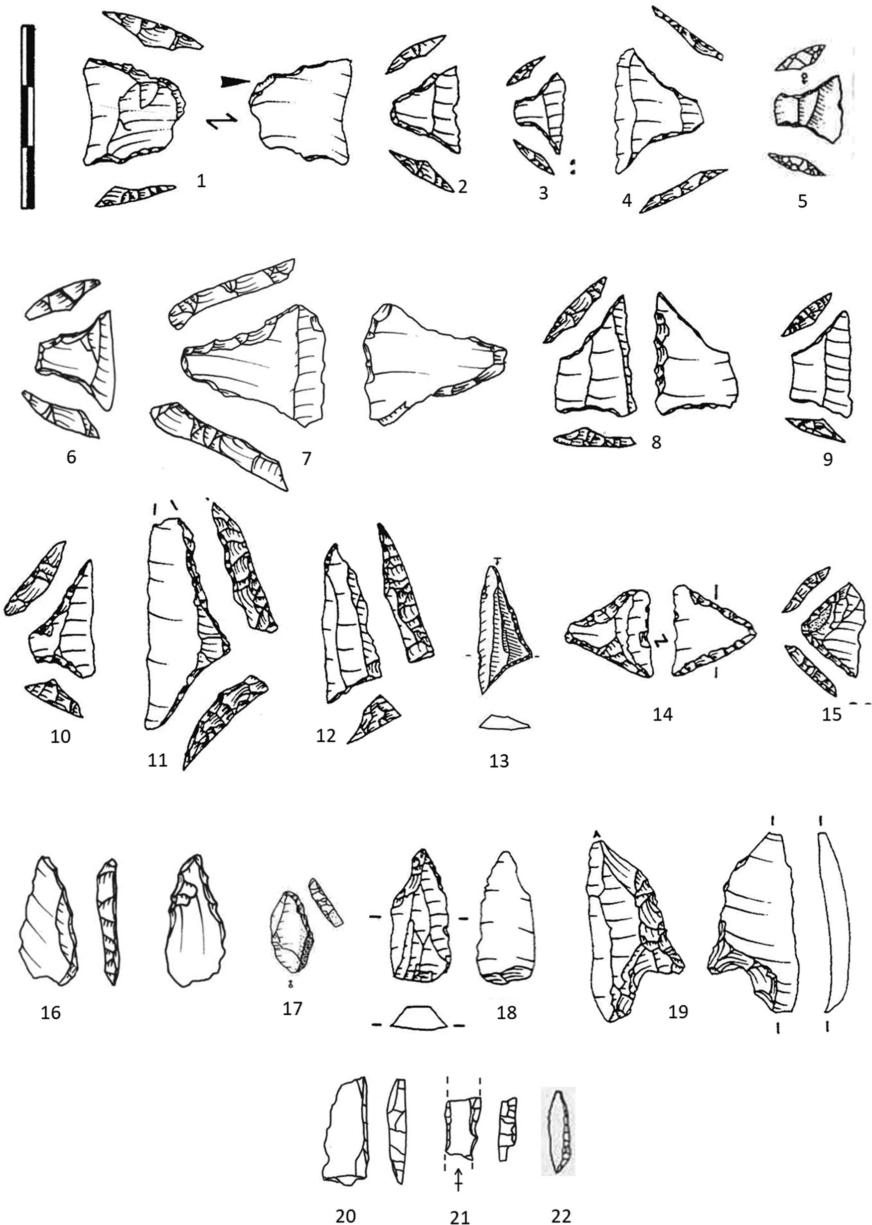 Figure 8
Selection of Microlith. Typology: (1 and 2) symmetrical trapezes with straight truncations; (3–5) symmetrical trapezes with concaves truncations; (6 and 10) asymmetrical trapezes with concave truncations; (7–9) asymmetrical trapezes with straight truncations; (11–13), asymmetrical triangle with straight truncations; (14) Chatelet point; (15) symmetrical triangle with straight truncations; (16 and 17) truncated point; (18), point with retouched base; (19) “pointe à éperon”; (20–22) backed point. Source: 1, 4, 11, Beg-er-Vil (Marchand, 1999, pp. 427); 2, 3, 6, 7, 8, 9, 10, 12, 14, 17, 18, La Gilardière (Marchand, 1999, pp. 399–400); 5, 13, 22, Beg-an-Dorchenn (Rault, 1992, pp. 73–76); 6, 7, 16, 17, 20, 21, Pont-Glas (Marchand et al., 2017, pp. 262–263).