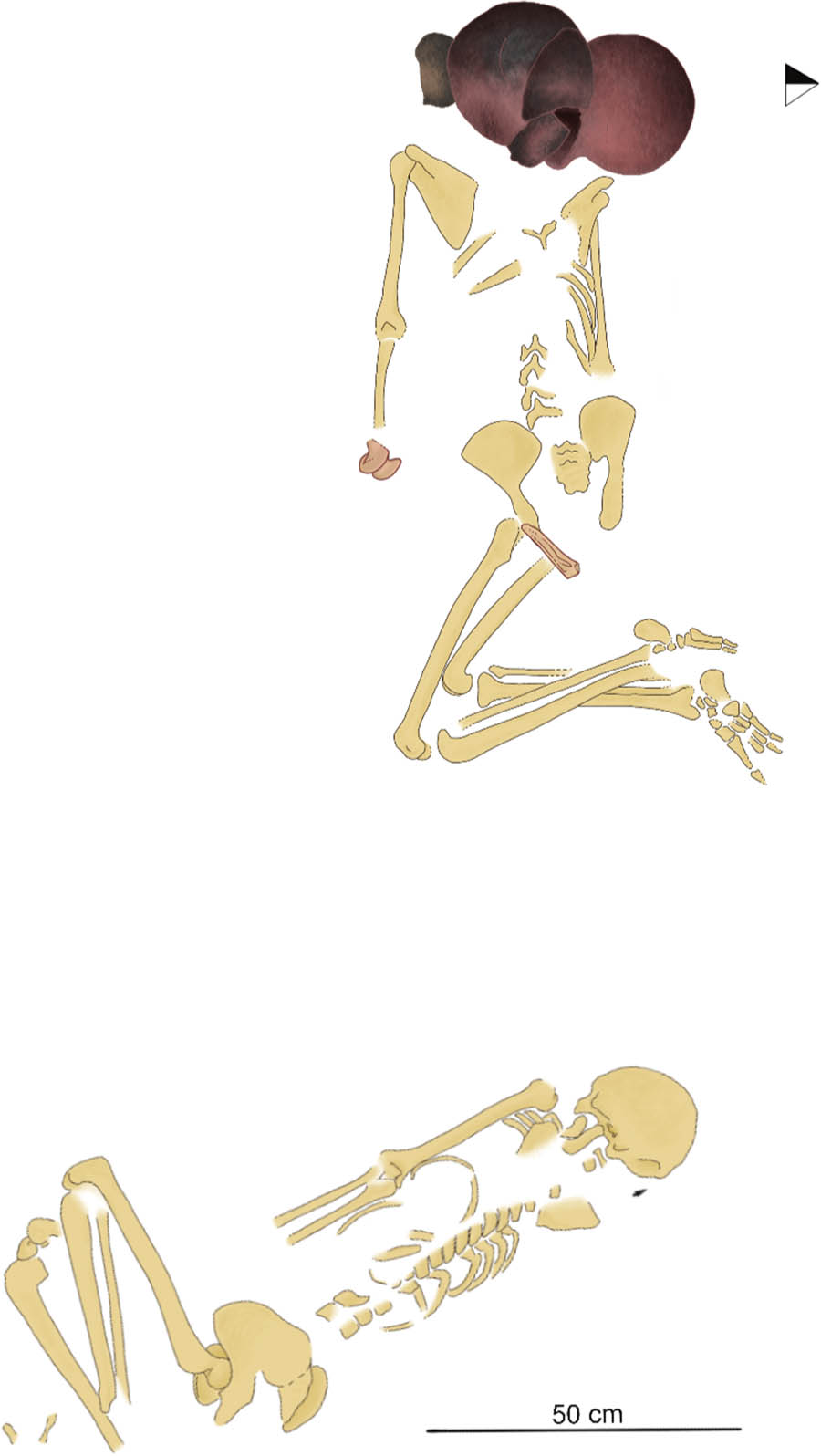 Figure 2 
                  Plan of the excavation of the mortuary features of Individuals 1♀ and 2♂ of the Newen Antug site. Source: this work.