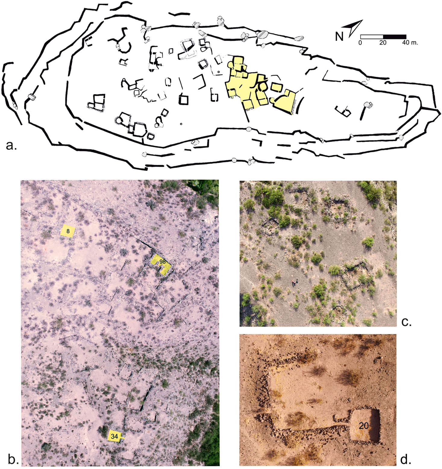 Figure 3
Spatial organization of late settlements: (a) Loma de los Antiguos (Asampay); the highlight shows the agglutinated pattern of the central sector; (b) aerial photography of El Molino (Puerta de Corral Quemado), with agglutinated pattern; highlighted: Rooms 8 and 34 (recently excavated), and 98 (excavated by González in 1969); (c) aerial photography of Loma de la Escuela Vieja (Puerta de Corral Quemado), an example of isolated pattern; (d) aerial photography of Room 20 and their yard, Mesada Baja of Palo Blanco.