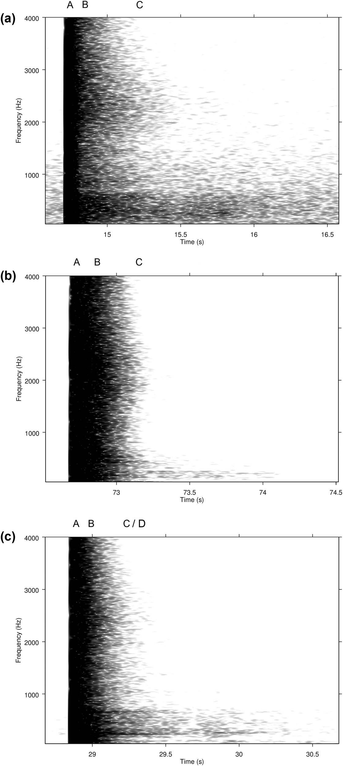 Figure 5
Impulse responses in different parts of the Pirunkirkko cave: (a) Spectrogram from recording point 1, outside the cave; (b) Spectrogram from recording point 2 in the middle corridor; (c) Spectrogram from recording point 3 in the inner corridor; (d) Spectrogram from recording point 4 in the inner corridor, on the plank bridge; (e) Spectrogram from recording point 5 in the inner corridor, on the ledge; (f) Sound pressure level plot from recording point 5 in the inner corridor, on the ledge. A = excitation signal, B = early reflections, C = late reflections, D = distinct frequencies ringing after the impulse.