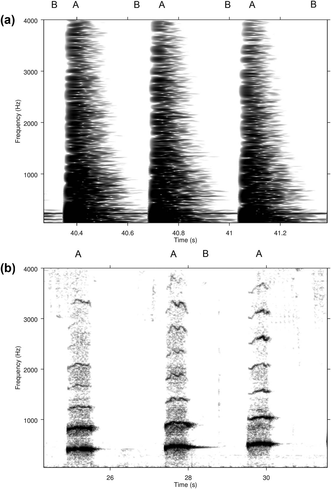 Figure. 6
Audio experiments in the inner corridor of the Pirunkirkko cave: (a) Spectrogram showing three drumbeats (A) and a ringing frequency at 231 Hz (B). The drummer was sitting on the ledge, while the microphones were placed on the plank bridge; and (b) Spectrogram showing three vocalised tones with fundamentals at 420, 470, and 523 Hz (A) and a ringing frequency at 451 Hz (B) after the midmost tone. The singer as well as the microphones were situated south of the plank bridge, close to the western wall.