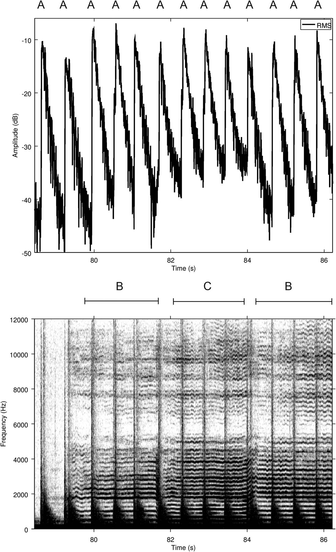 Figure 8
A 8 s clip of the recorded ritual: (above) Sound pressure level plot showing 13 drumbeats (A) and the amplitude increase between beat numbers 6, 7, 8, and 9; (lower) spectrogram showing the same drumbeats and three vocalised tones with fundamentals at 253 Hz (B) and 224 Hz (C). The practitioner and the microphones were situated on the ledge at the back of the Pirunkirkko cave.