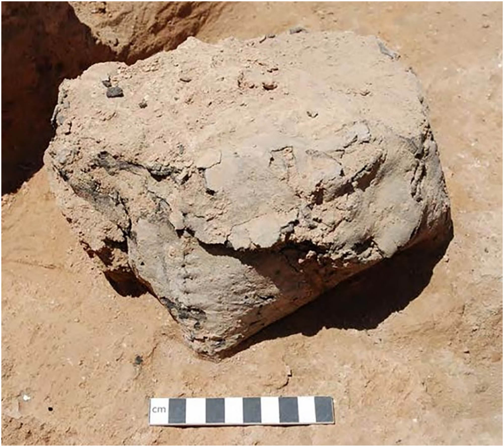 Figure 4
Bitumen-coated “leather bag” found in mound SAB III, trench J9. The sewing stitch is visible in the corner (© Peter Akkermans, Tell Sabi Abyad Archive).