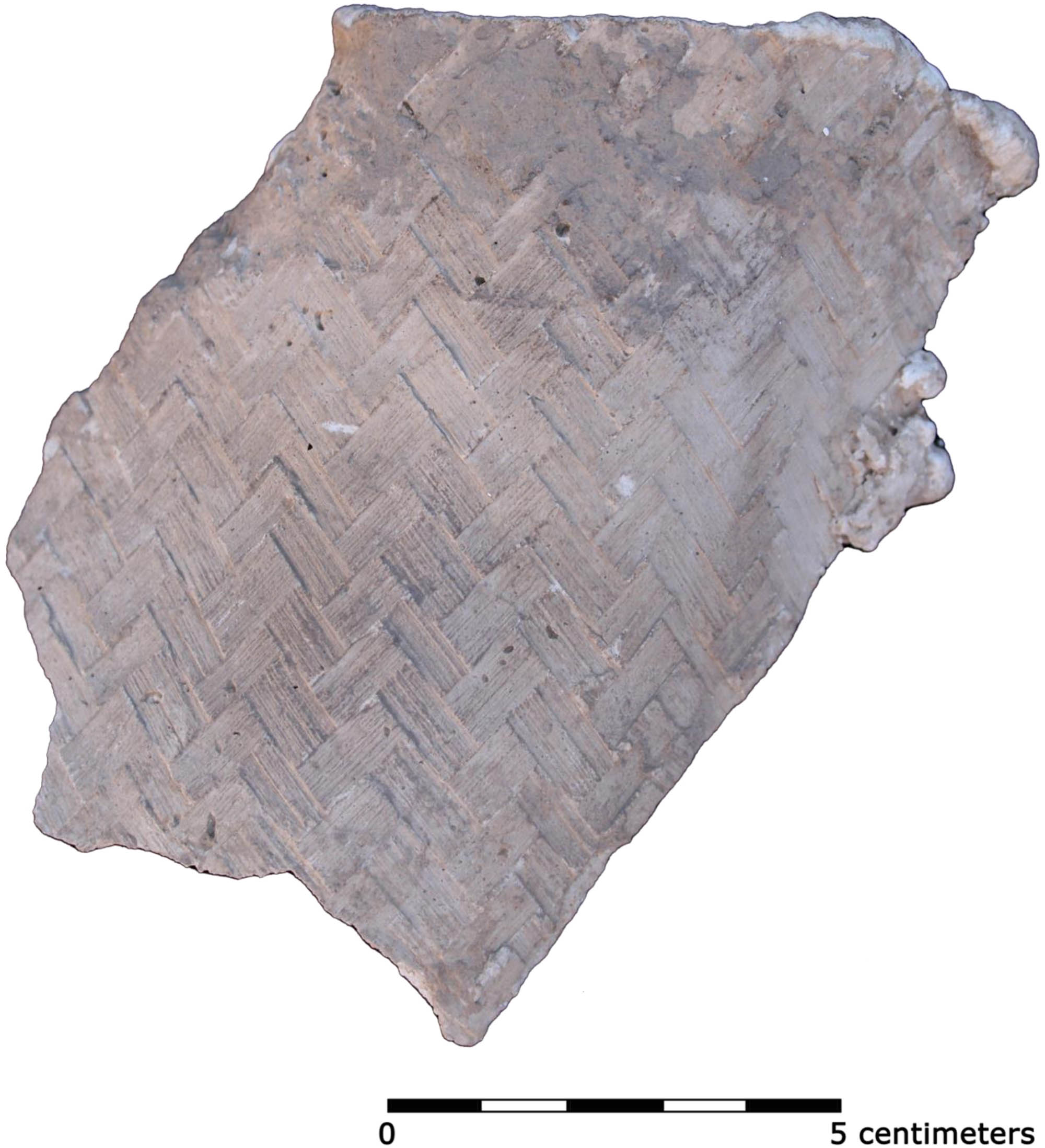Figure 9
V08-42 Gypsum plaster ware bowl with an impression of plated basketry on the exterior side, Tell Sabi Abyad (level A1) 6335–6225 cal BC (photo: author).