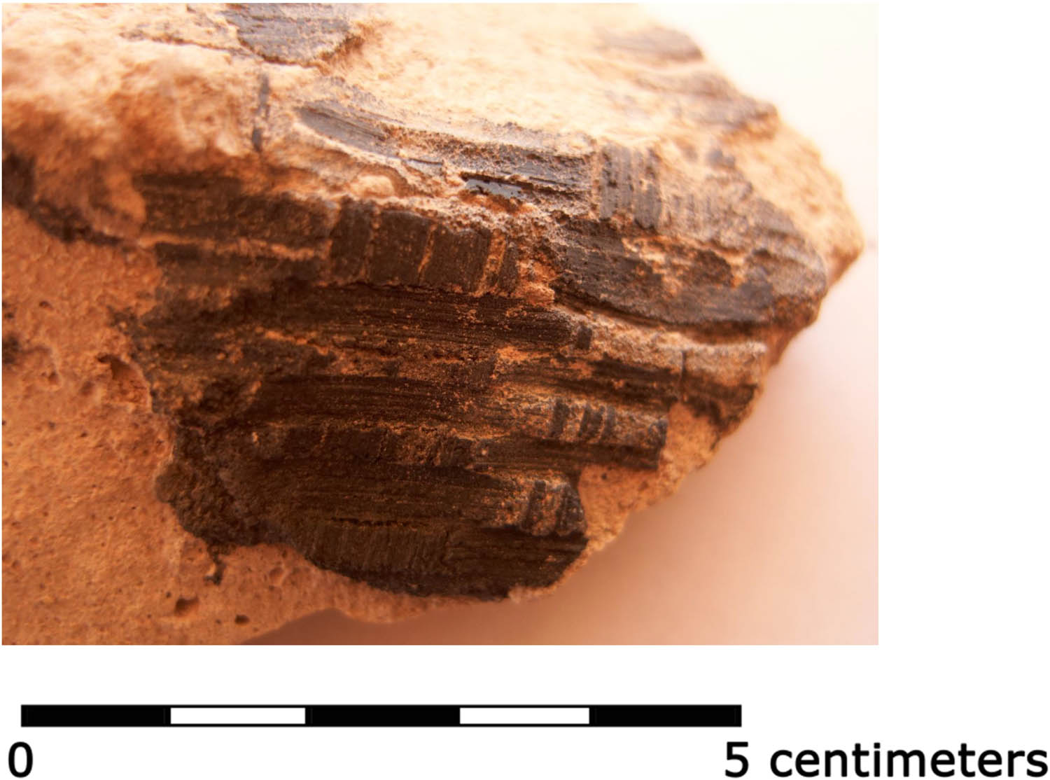 Figure 10
V10-999 Bitumen found on plaster ware Tell Sabi Abyad SAB III (© E. Koek, Tell Sabi Abyad Archive).