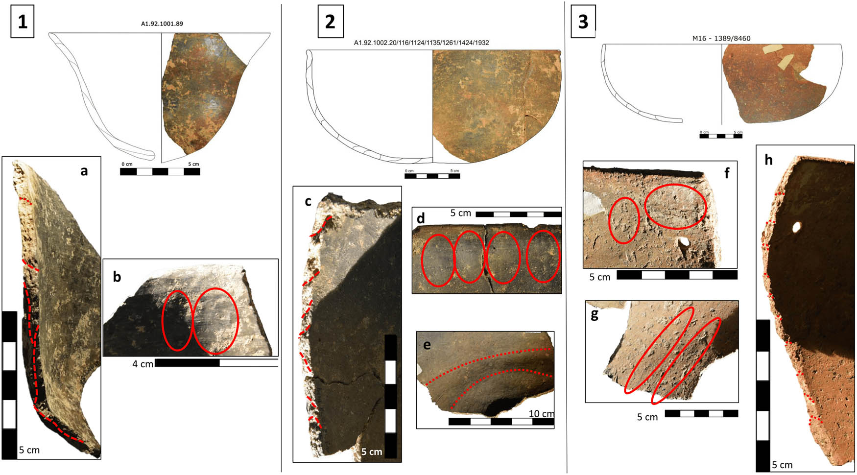 Figure 5
Traces of assembled elements potteries: (1a) coils by drawing junction; (1b) fingerprints; (2c) coils by pinching junction; (2d) fingerprints from coils by pinching; (2e) coil organization in spiral; (3f) fingerprints from coils by spreading; (3g) fissure junction; (3g) coils by spreading junction (Author: S. Calvo).
