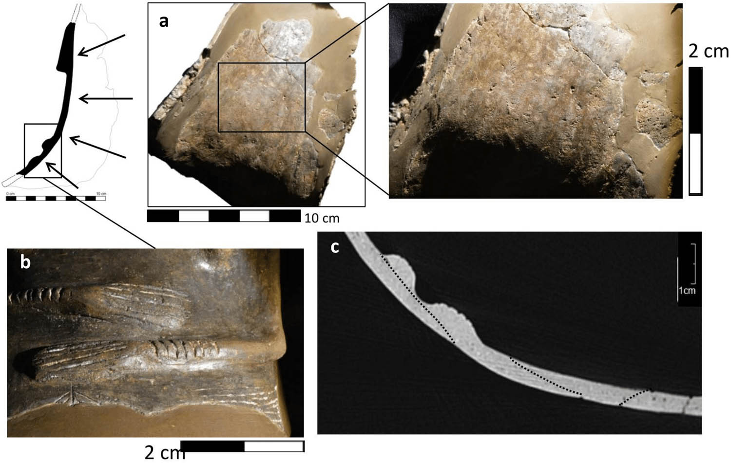 Figure 13
Observed traces on Venus de Gavà ((a) fingerprints, (c) coil junctions, and (b) traces from burnishing) (Author: S. Calvo).