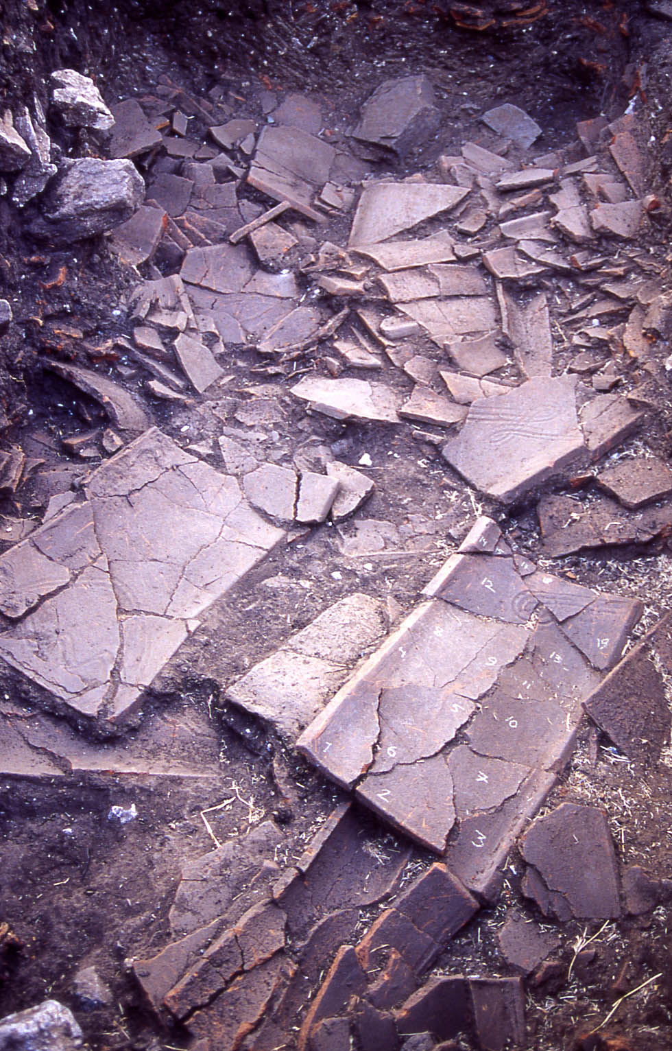 Figure 2 
               Laconian-style roof tiles of the destruction layer in the atrium area, waiting for documentation (Squares J96–J98) in Paliambela. Photo Pirjo Hamari, 2000.
            