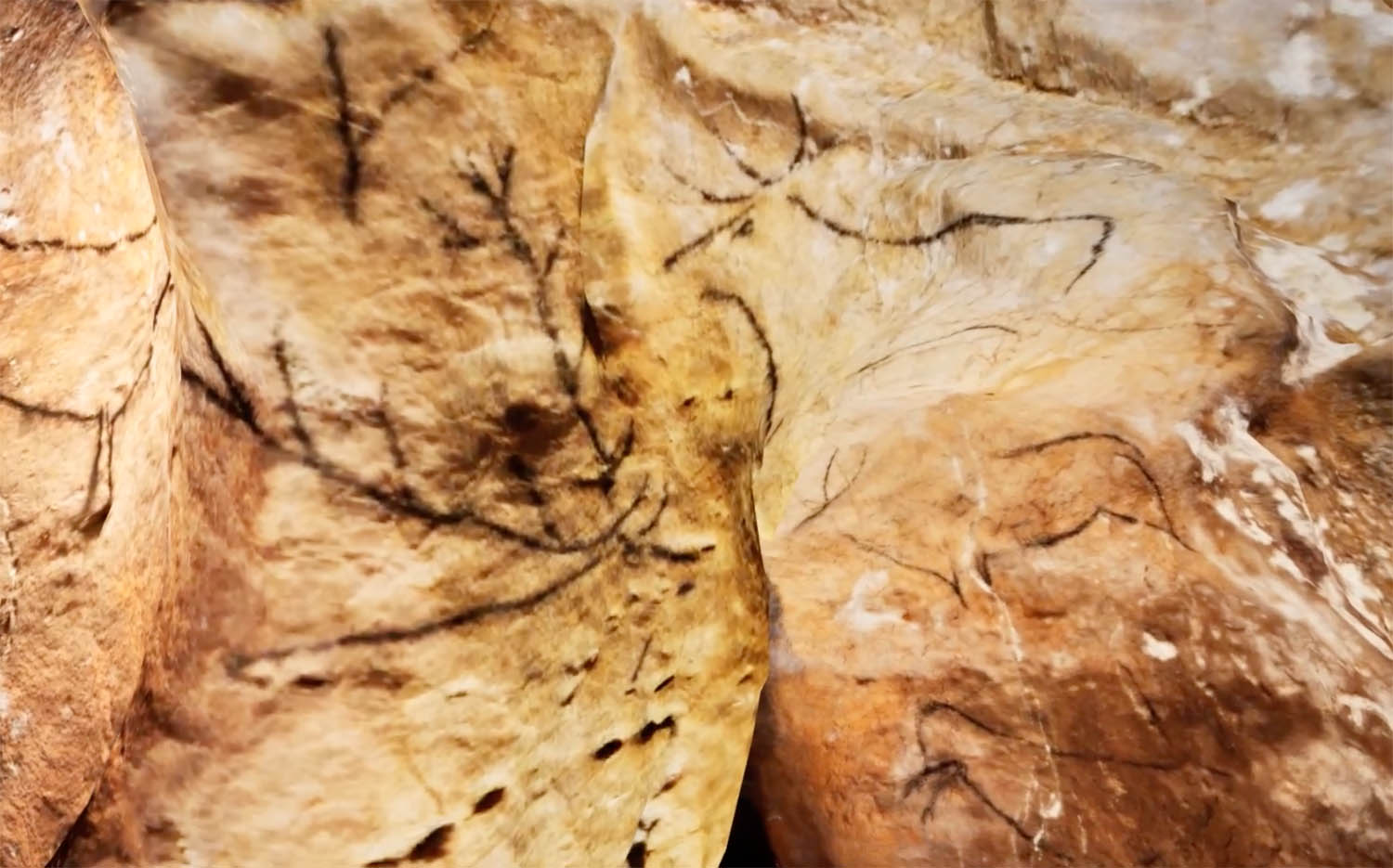 Figure 3
Painting of a stag from Las Chimeneas cave, image taken from the Soundgate OSX app.