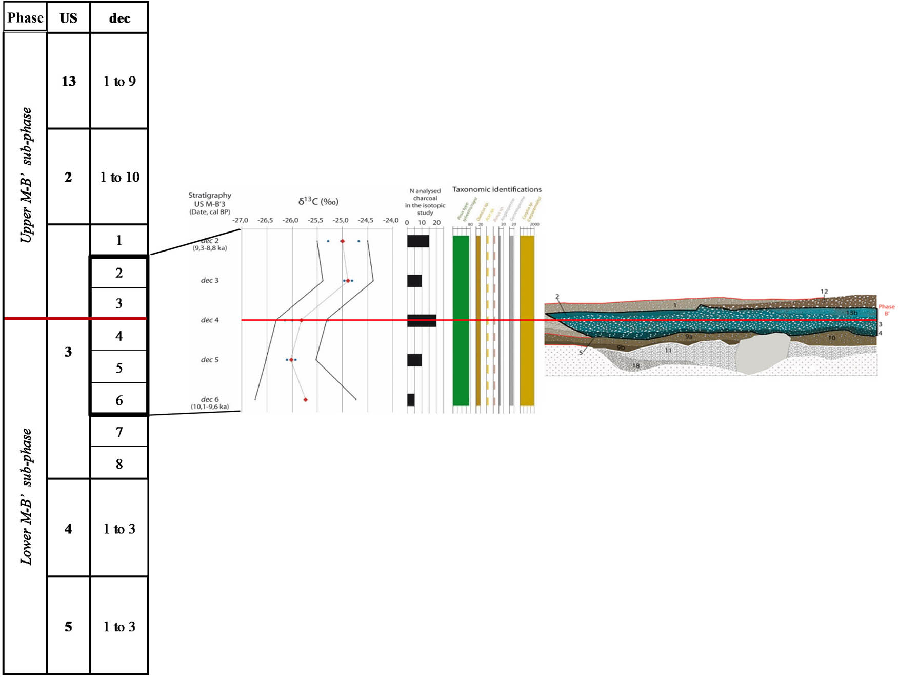 Figure 5
Charcoal taxonomic and isotopic data obtained on US M-B′ 3 of La Baume de Monthiver, with (i) décapage unit and chronology; (ii) isotopic results (red diamonds; mean δ13C values by dec are represented by the blue dots; raw analytical δ13C values are shown with the black lines), the limits of the calculated margin of error; and (iii) taxonomic identifications by the number of identified elements (total for the US M-B′ 3, dotted line for less than five identifications) (Audiard et al., 2021). Graphic representation of two phases (M-B′ upper and lower) based on the charcoal δ13C values.