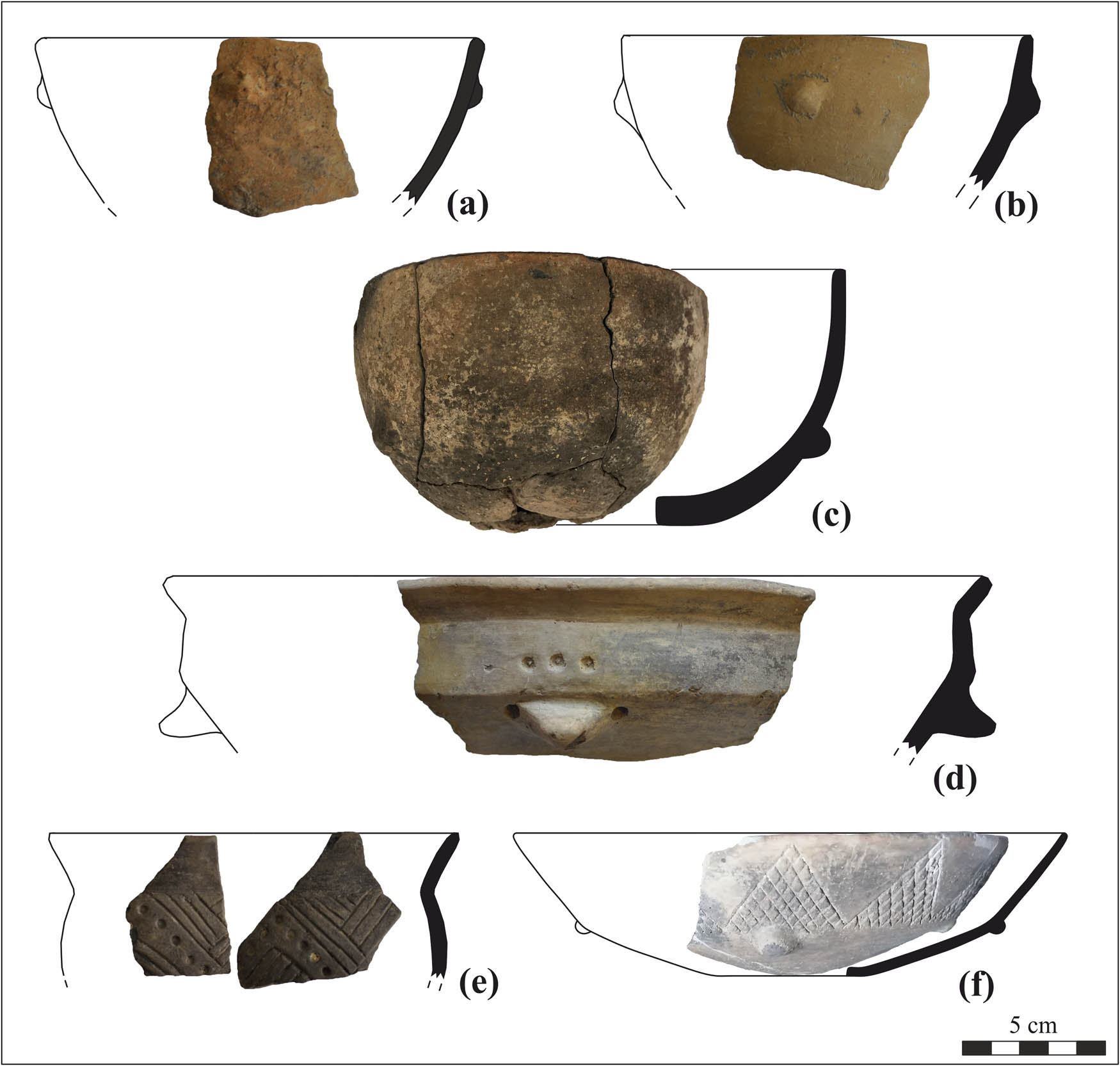 Figure 5
Selection of bowls from Tiszagyenda: (a) conical bowl (pit 289), (b) conical bowl (pit 289), (c) hemispherical bowl (grave 308/426), (d) S-profiled bowl with impressed dots (pit 9/9), (e) S-profiled bowl with a combination of incised lines and impressed dots (pit 289), and (f) carinated bowl with incised net pattern (grave 302/409).