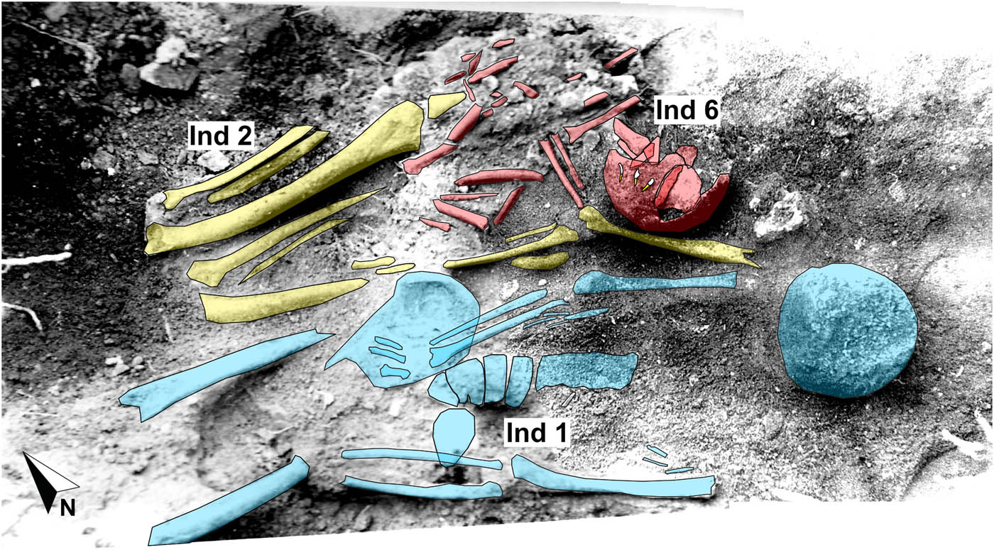 Figure 3
Groß Fredenwalde. Refitted photos of the situation of 1962, excavated on the first day (complex I) with identified individuals no. 1 (blue, male adult), no. 2 (yellow, male adult), and no. 6 (red, 3–4-year-old child) (photo: BLDAM/police Templin).
