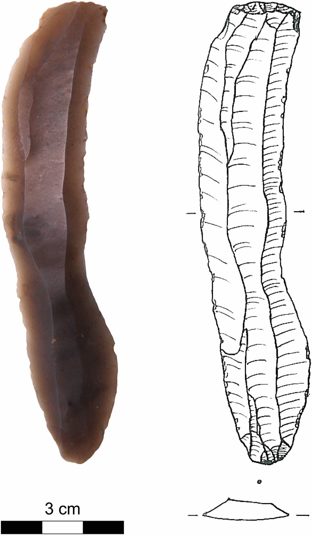 Figure 6
Groß Fredenwalde. Large truncated blade from complex I (drawing after Gramsch & Schoknecht, 2003).