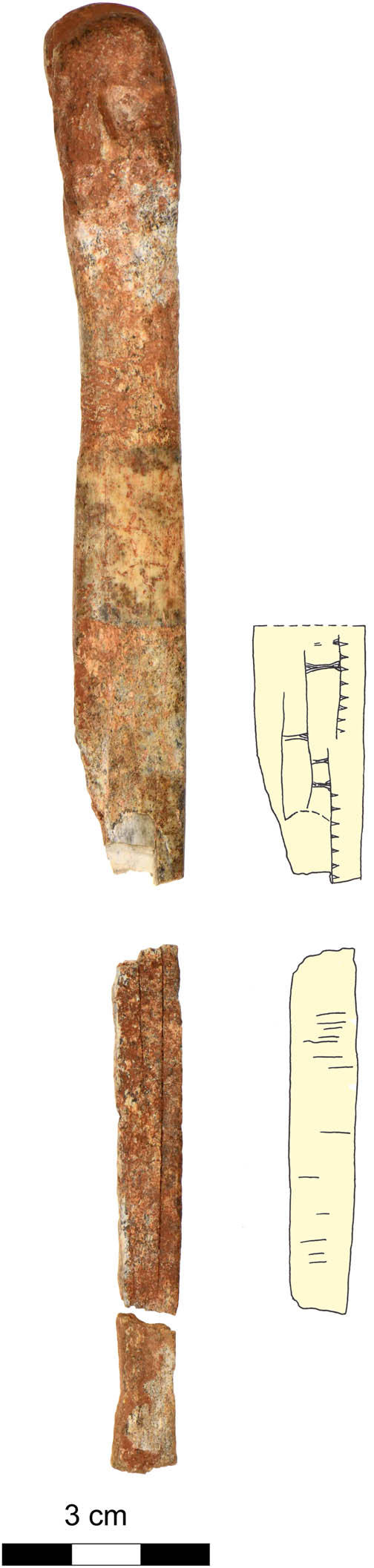 Figure 7
Groß Fredenwalde. Slotted bone dagger with decoration (photo: BLDAM/Brather; drawing after Gramsch & Schoknecht, 2003).