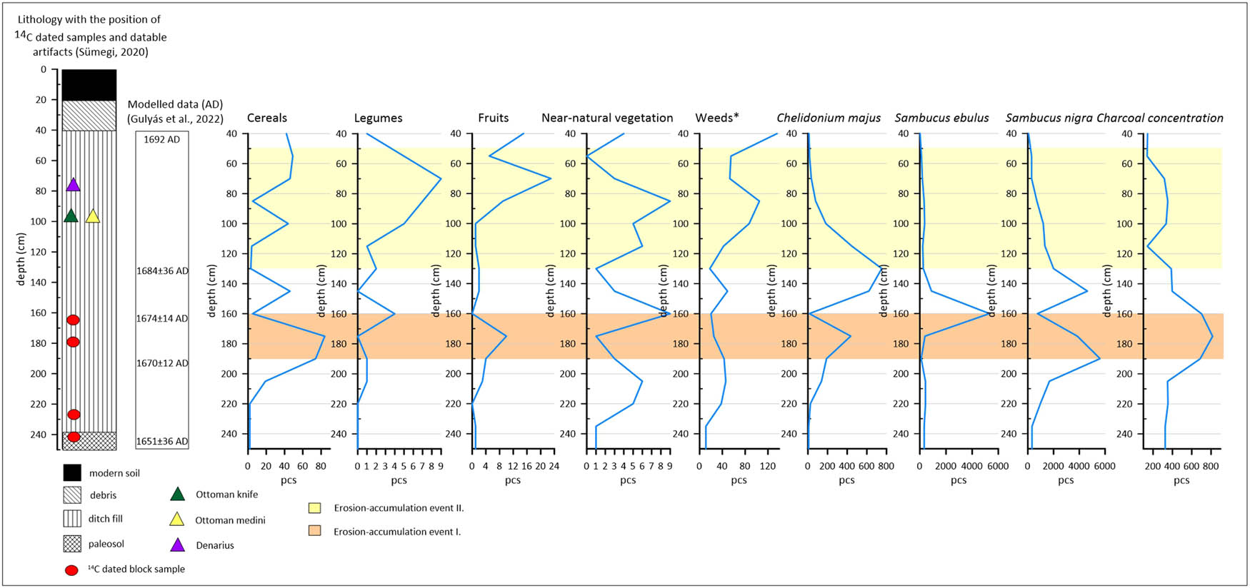 Figure 5 
                  Main archaeobotanical groups and their number through the profile (*the number of Sambucus nigra [23,678 pieces], Sambucus ebulus [4,610 pieces], Chelidonium majus [2,949 pieces] remains were not taken into account in the calculation of dominance).
               