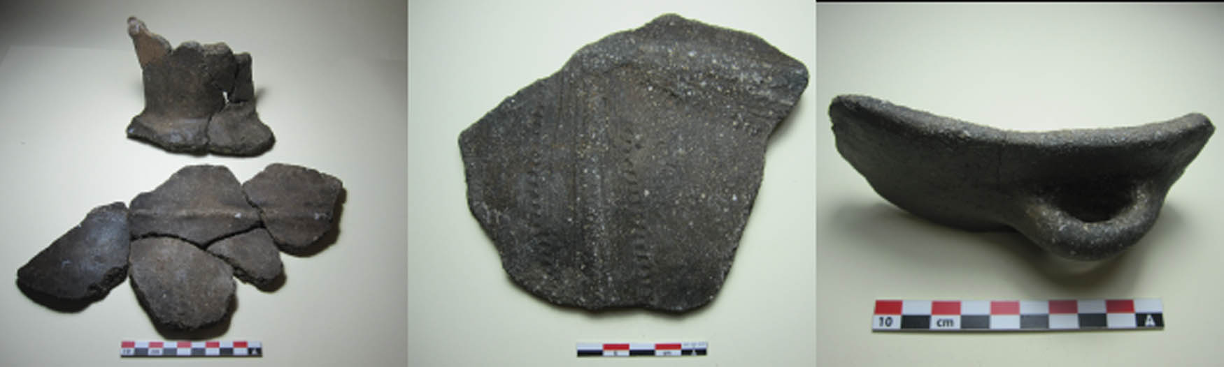 Figure 4
Pottery from La Draga.
