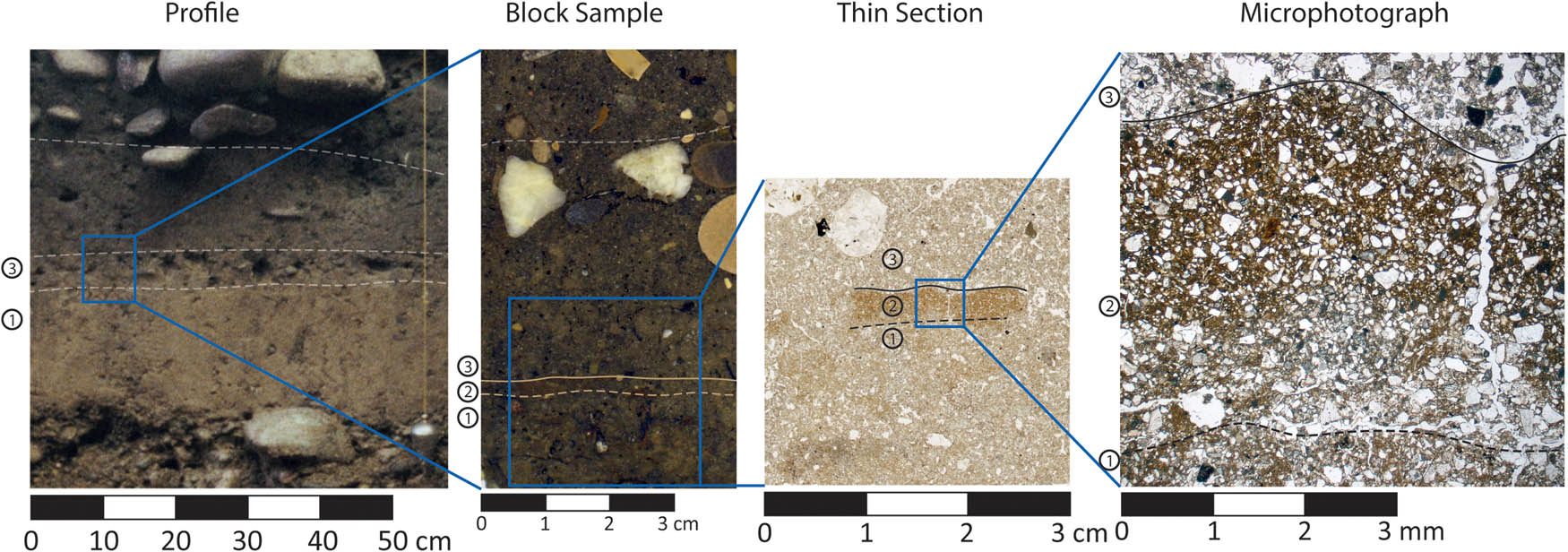 Figure 1
Different research scales in archaeological soil micromorphology at the Late Iron Age Site “Basel Gasfabrik” in Switzerland. The discontinuously preserved loam floor (2) is clearly visible in the micromorphological block sample, thin section, and microphotograph but remains hidden in the archaeological profile. Micromorphological analysis indicated that the floor was formed upon truncated flood plain deposits (1) and was covered by sediments interpreted as an outdoor walking surface (3). The microphotograph of the loam floor shows clear compaction of the former surface and distinctive horizontal cracks indicating trampling. It illustrates the lack of an occupation layer accumulated on the floor surface. The microphotograph was taken in plain polarised light.