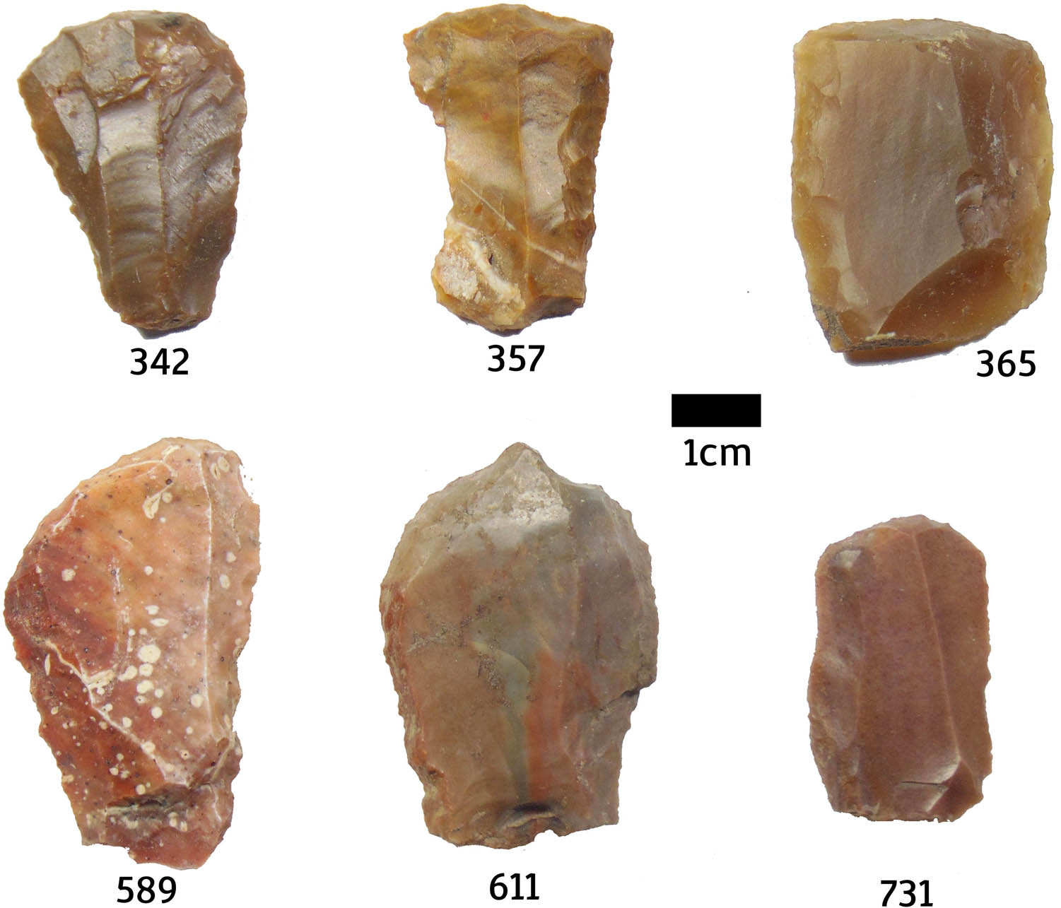 Figure 4
Archaeological studied artifacts, dorsal view.