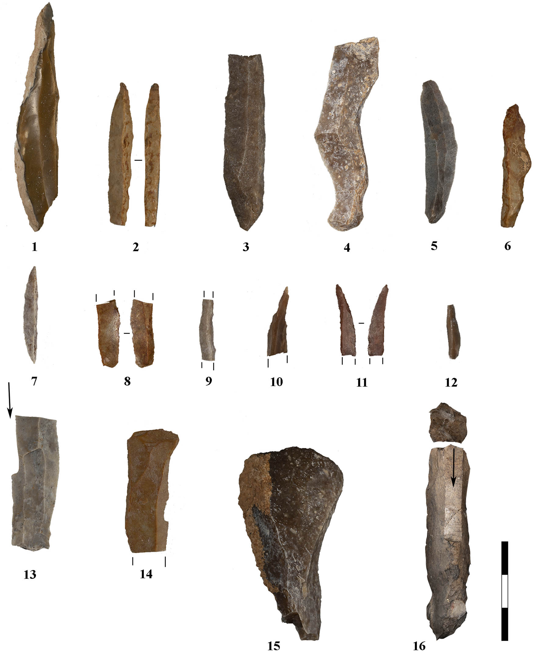 Figure 4
Stone Tools. Gravette points (1–3); blades (4–5); backed bladelets/points (6, 8–11); double backed point (7); Dufour bladelet (12); burins (13, 16); end-scrapers (14–15).