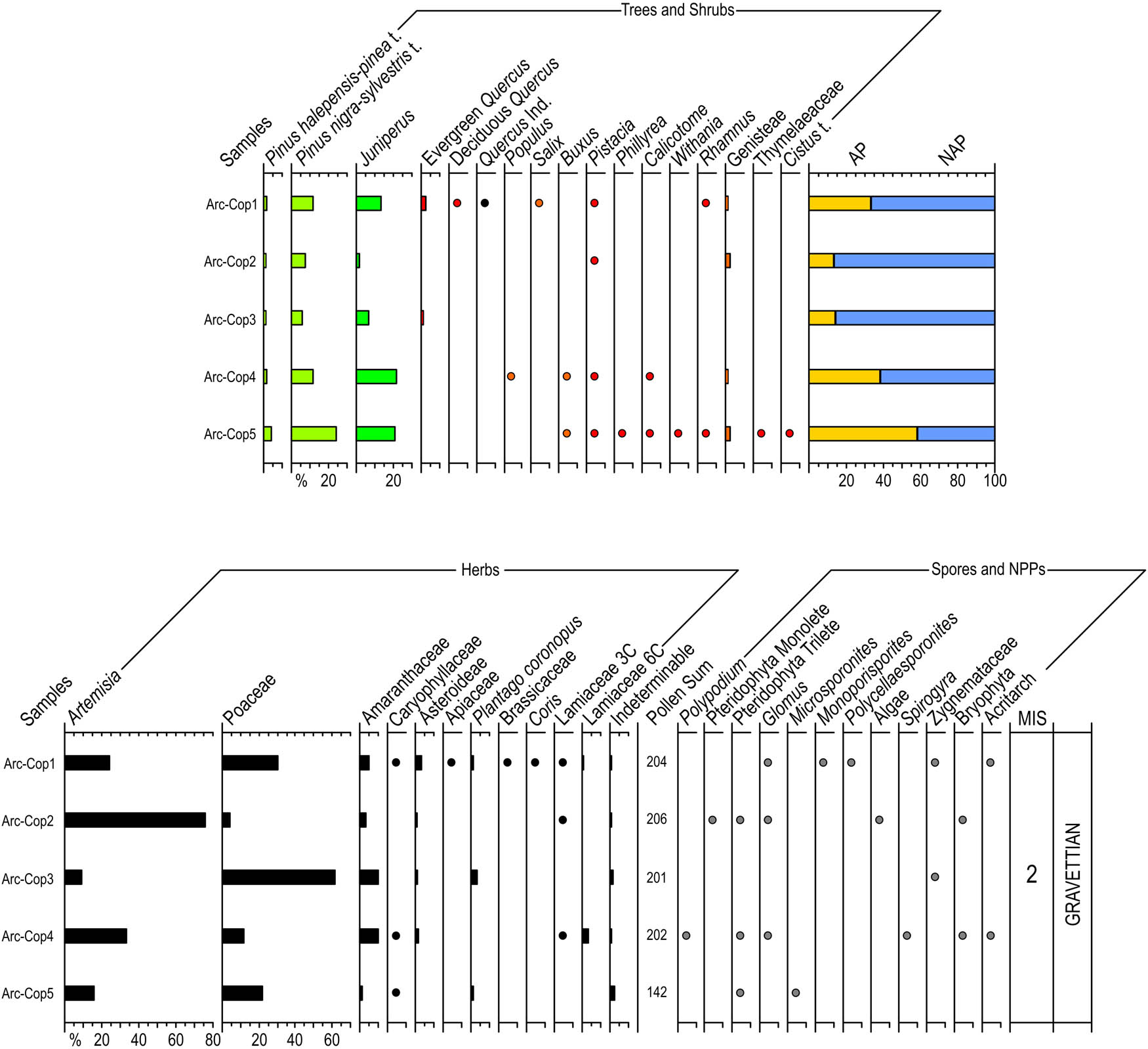 Figure 11
Percentage pollen diagram of the coprolites of Cueva del Arco including Trees, Shrubs, Herbs, Spores and NPPs, summatory of AP and NAP. Black dots for percentages below 2.