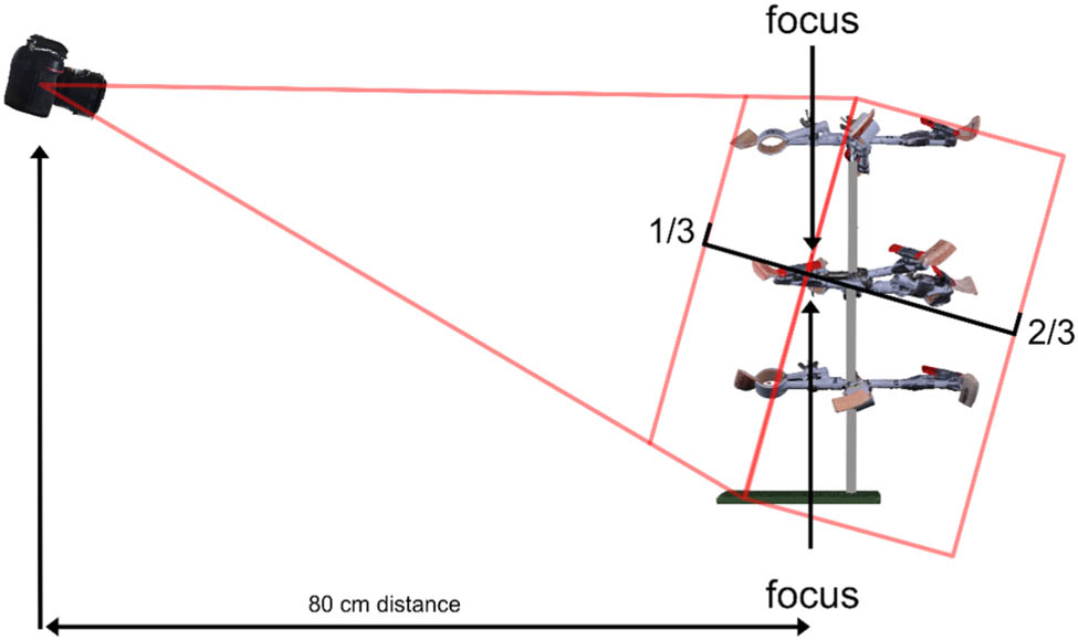 Figure 3 
                  Depiction of the depth of field when the camera is tilted toward steeper angles.
               
