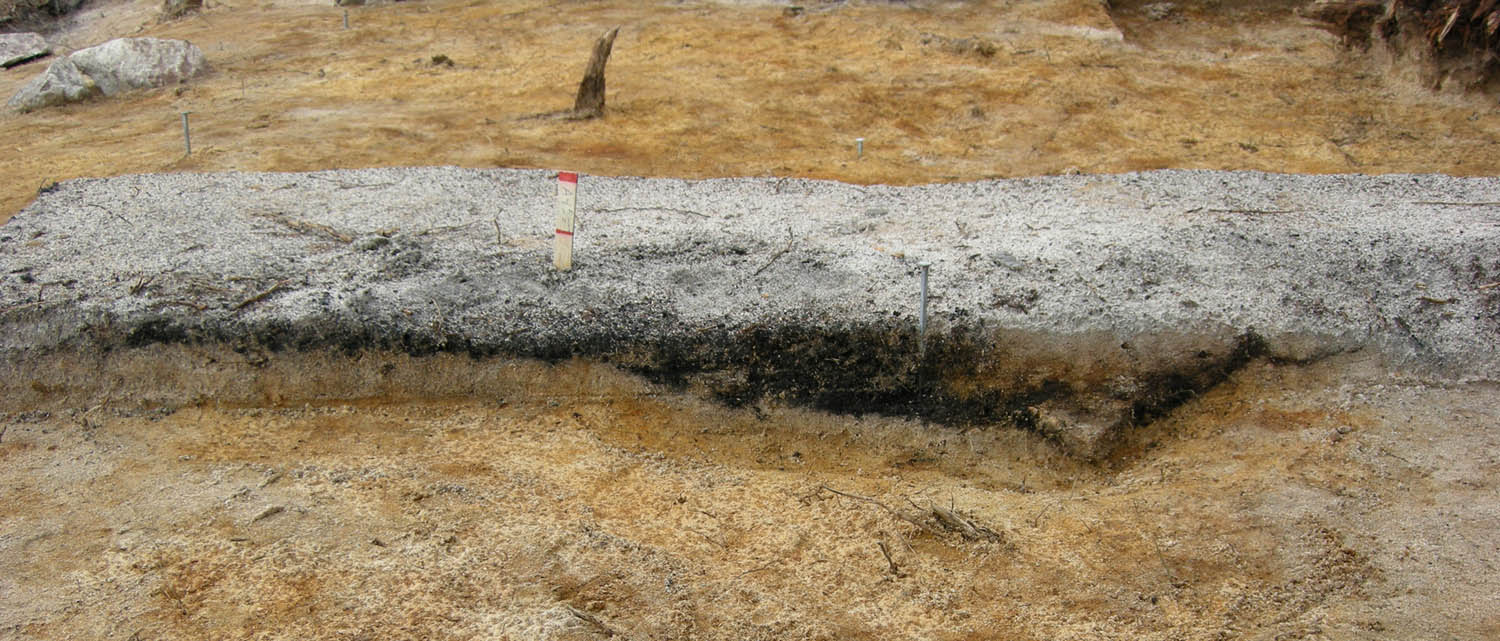 Figure 7
Smithing hearth structure in cross section, recovered at the Sangis site, northern Sweden (photo © Norrbottens museum).