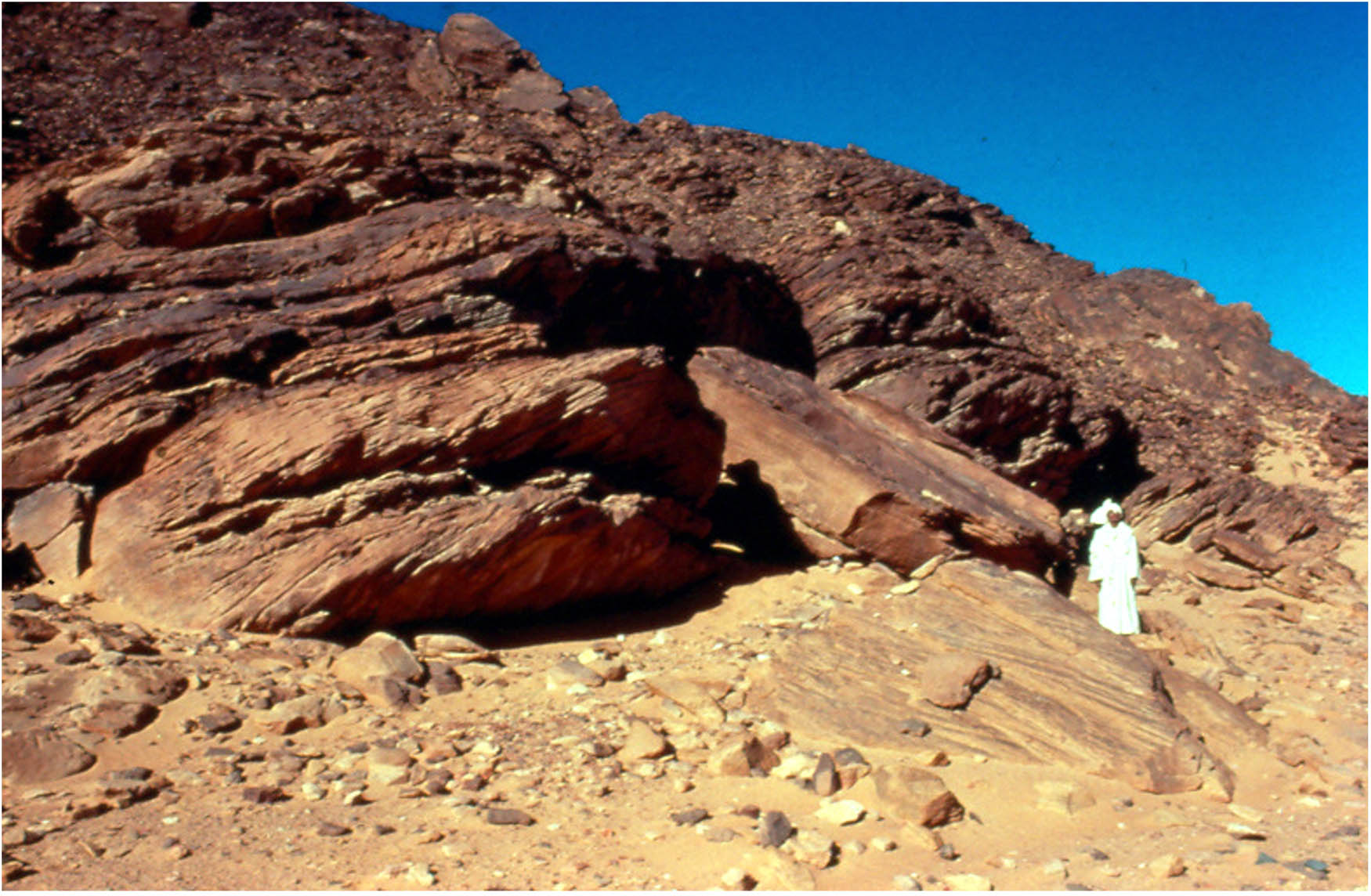 Figure 3 
                  The Paneion of Wadi Minayh. The rock shelter pictured is the focal point of the many inscriptions at the site. Photo Steve Sidebotham.
               