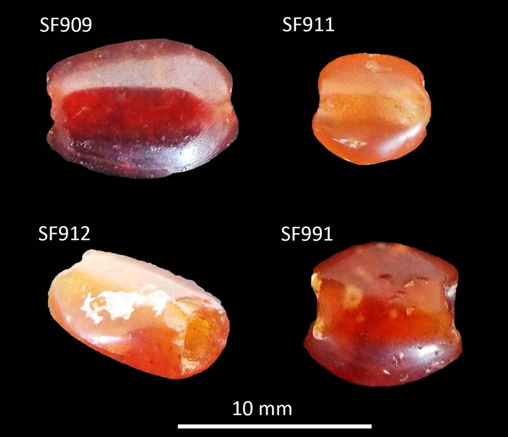 Figure 6 
                  Carnelian beads from Bestansur.
               
