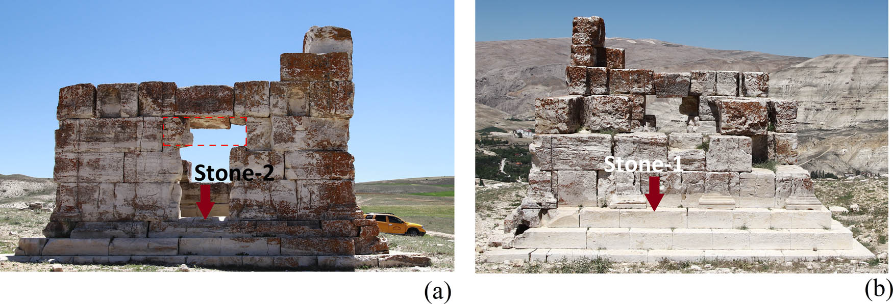 Teaser image from the article