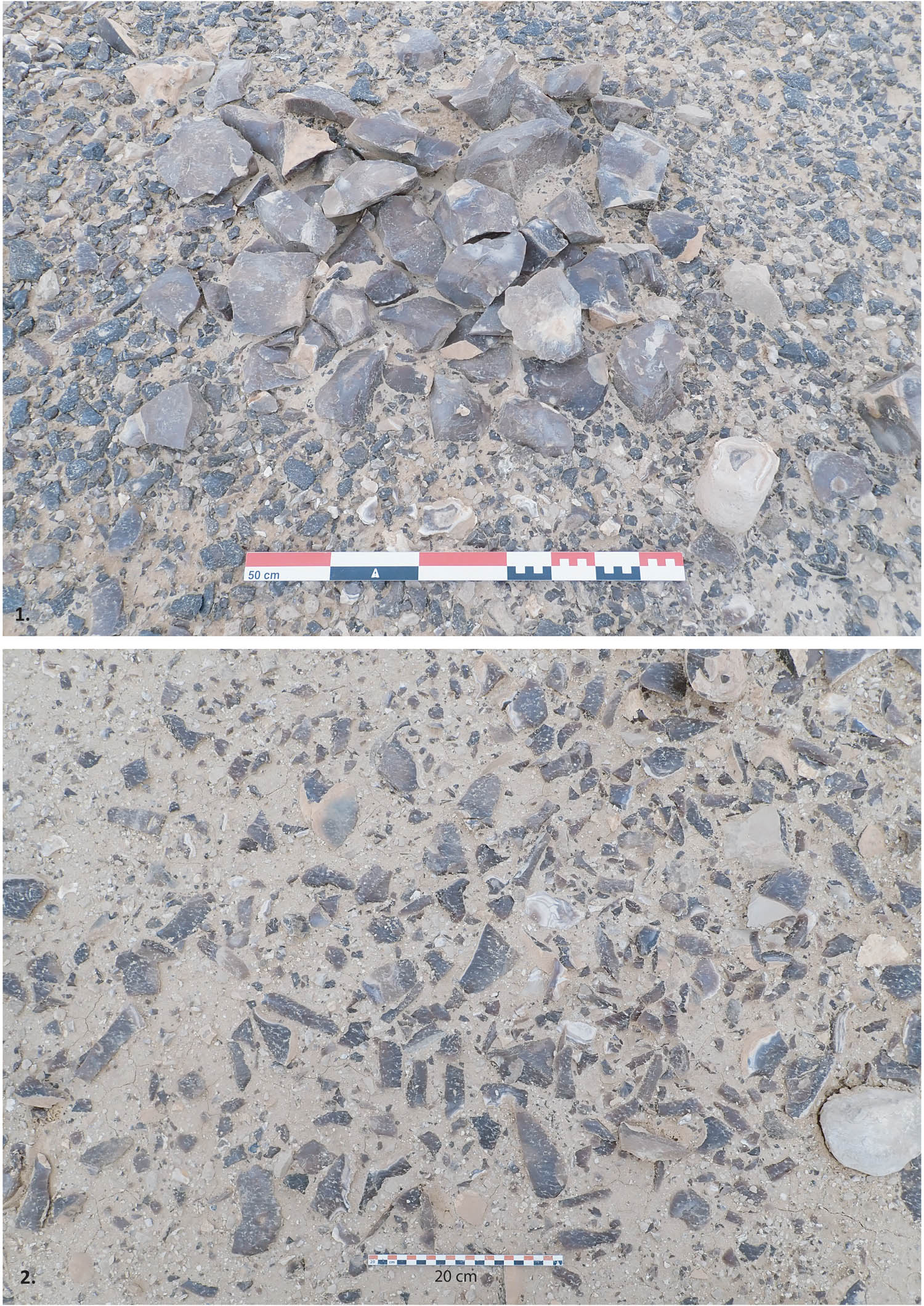 Figure 3 
                  Key features of the site. (1) Pile of discarded lithic cores (photo B. Midant-Reynes). (2) lithic blades forming part of a major concentration (WS004.8), indicative of the artifact density on the site (photo P.-A. Beauvais).
               