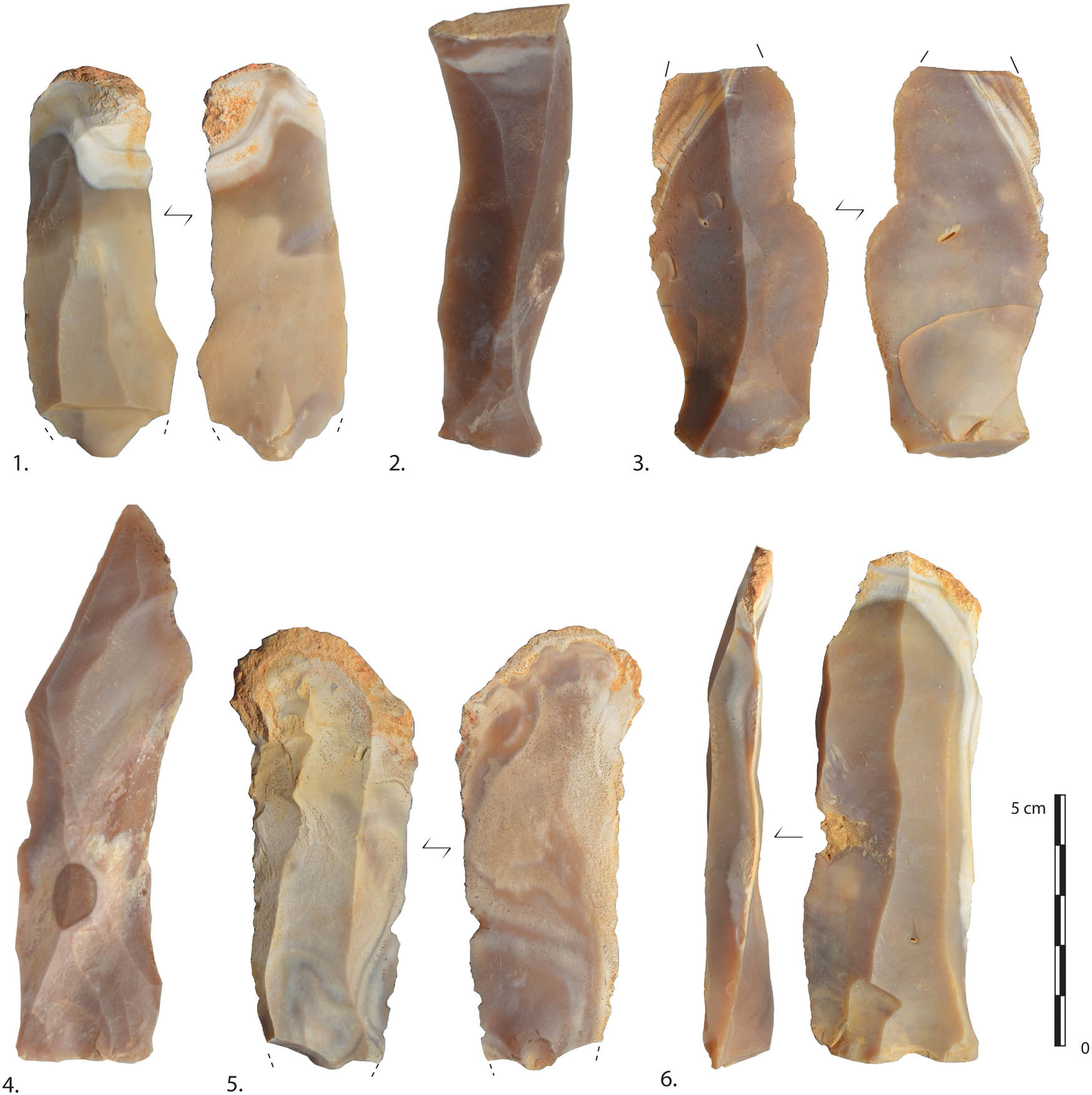 Figure 6 
                     Blades from two different lithic assemblages (WS004.1 and WS004.7). (1 and 5) loss of the overhang on the proximal part of the blade (photo B. M.-R.).
                  