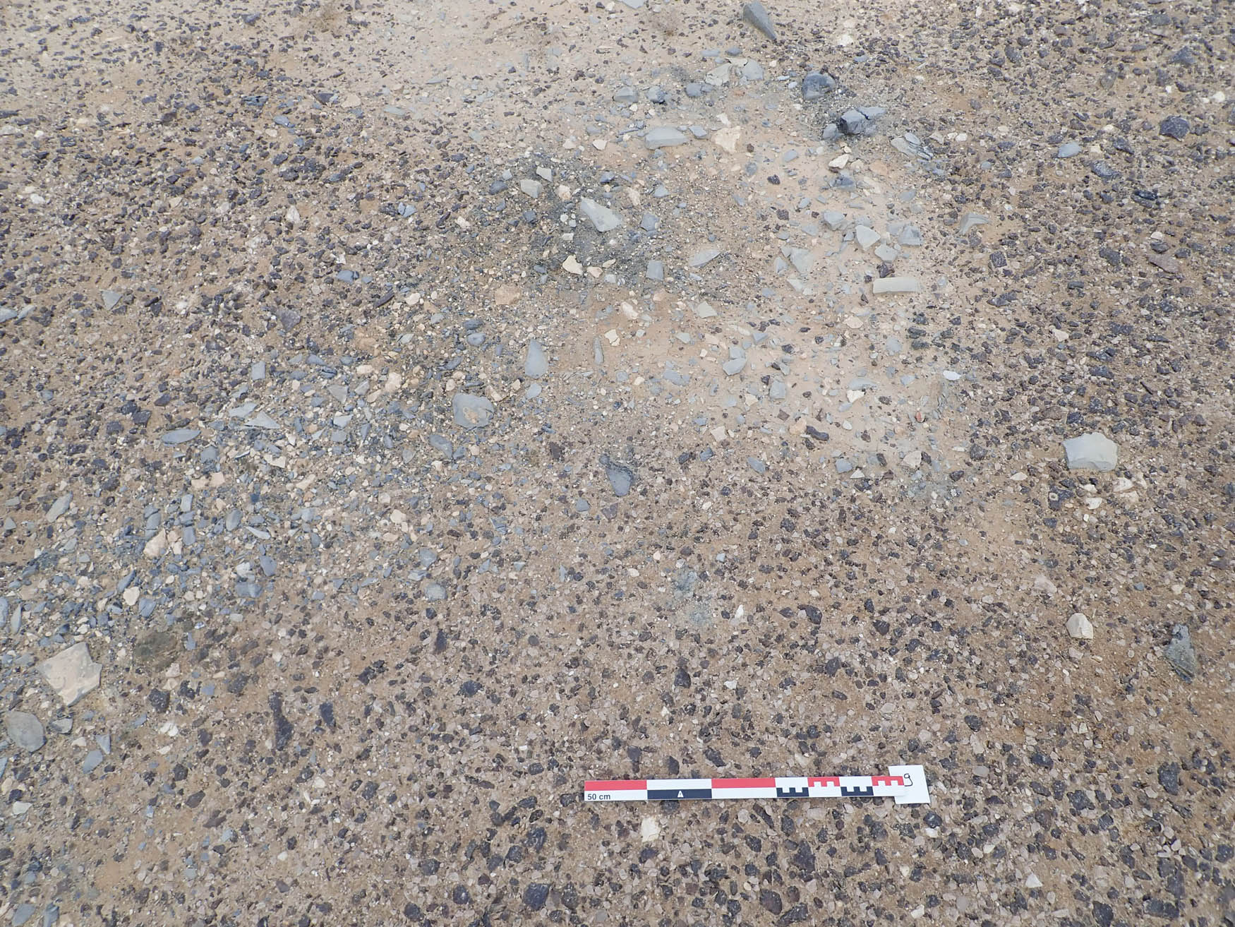 Figure A3 
                     Burned area, suggesting fire-camps near the quarry at the WS004 site (photo P.-A. Beauvais, 2022).
                  