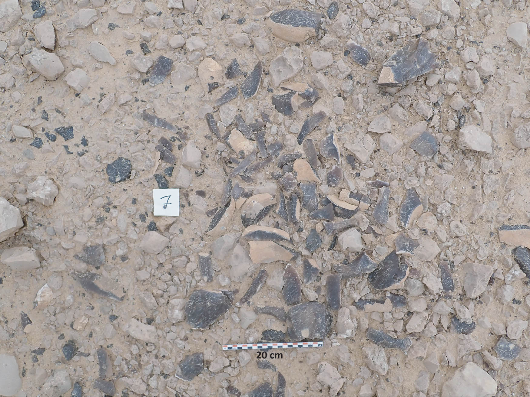 Figure A5 
                     Lithic concentration (WS004.7) excavated at the WS004 site (photo P.-A. Beauvais, 2022).
                  